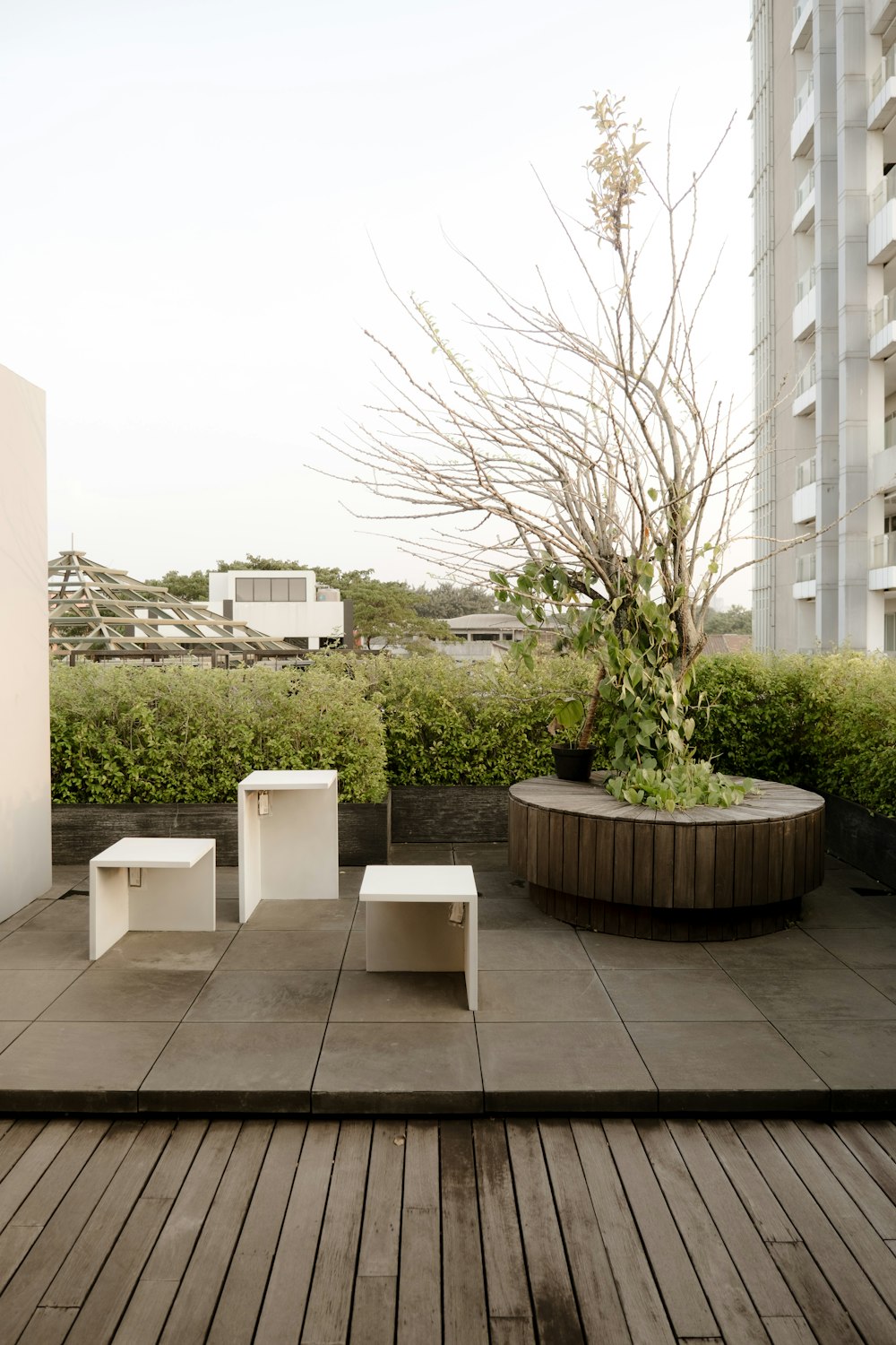 a wooden deck with benches and a planter