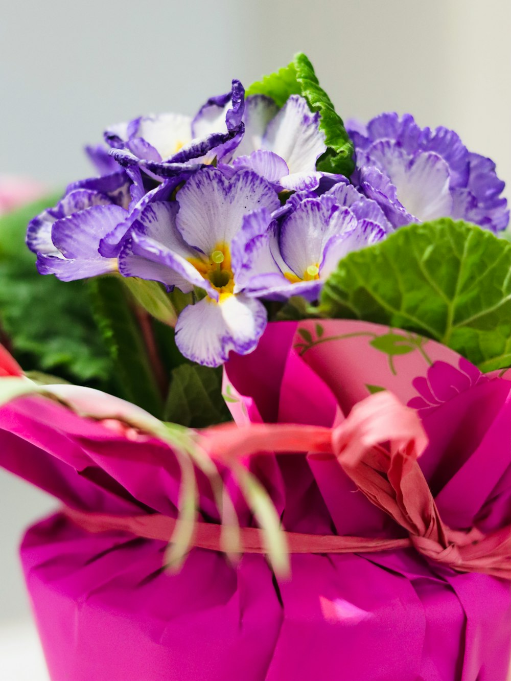 a pink vase filled with purple flowers on top of a table