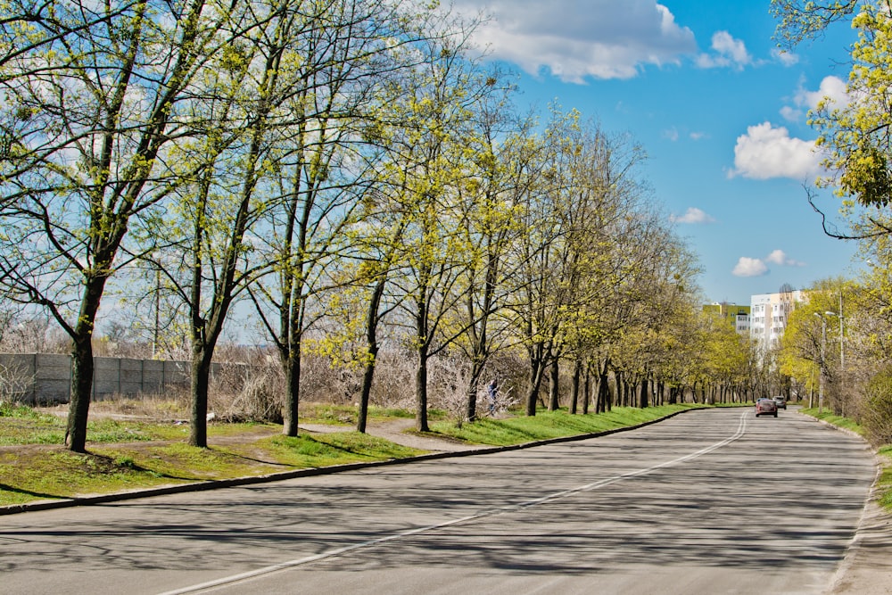 a car driving down a tree lined street