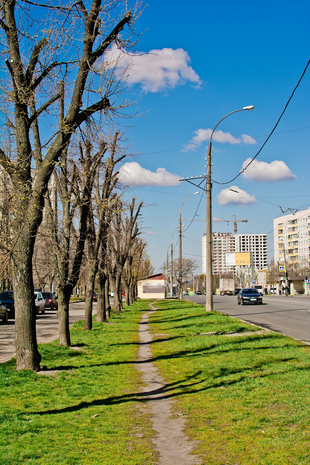 a street lined with trees and grass next to a road