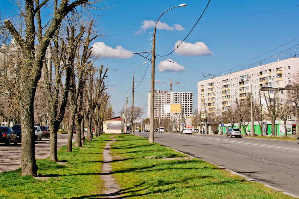 a city street lined with trees and grass