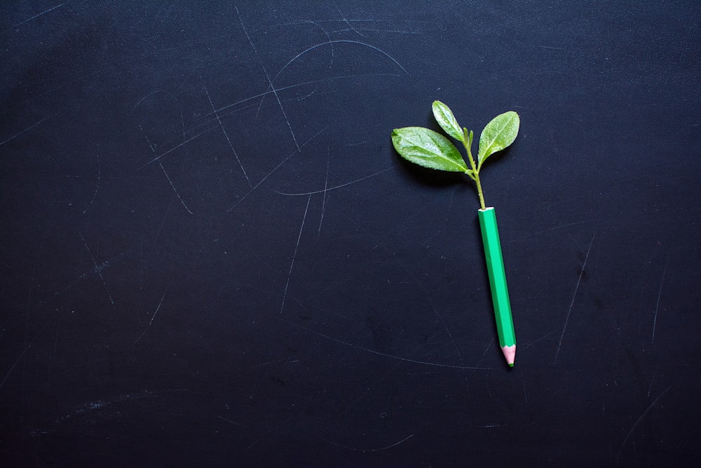 a green pencil resting on a black surface