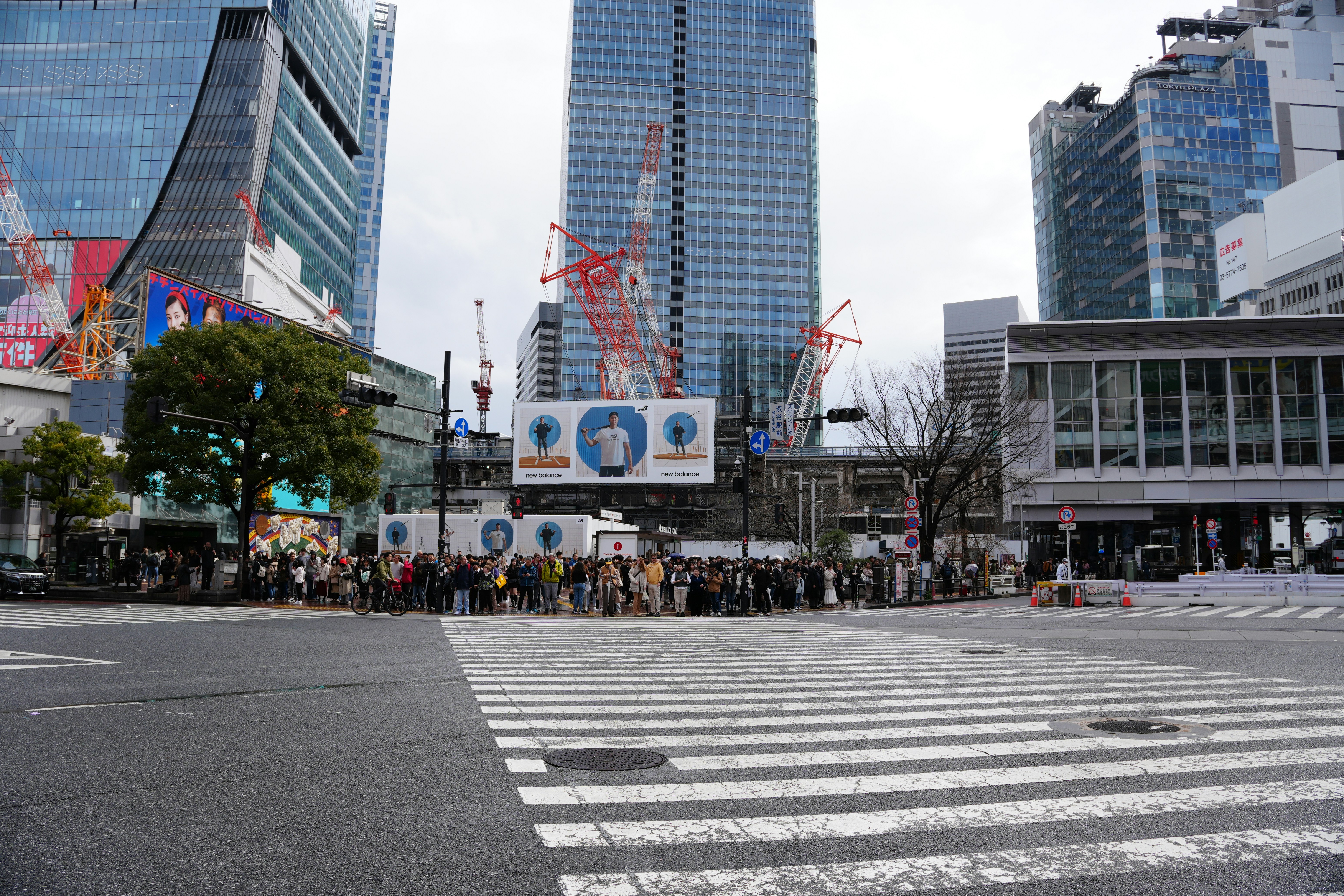 Extremely crowded pedestrian crossing Shibuya New Year's Eve