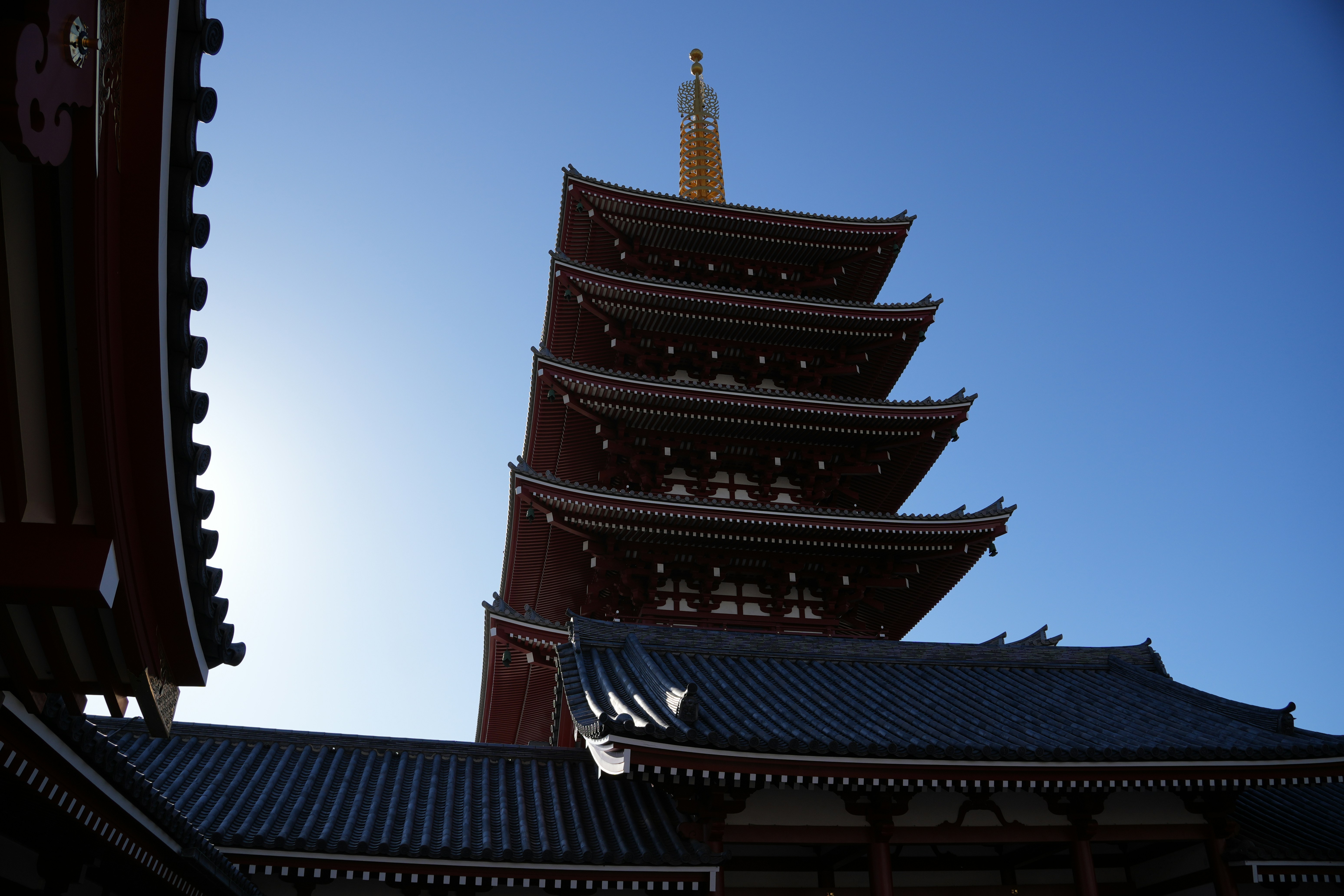 Photo by dm8ryphotos