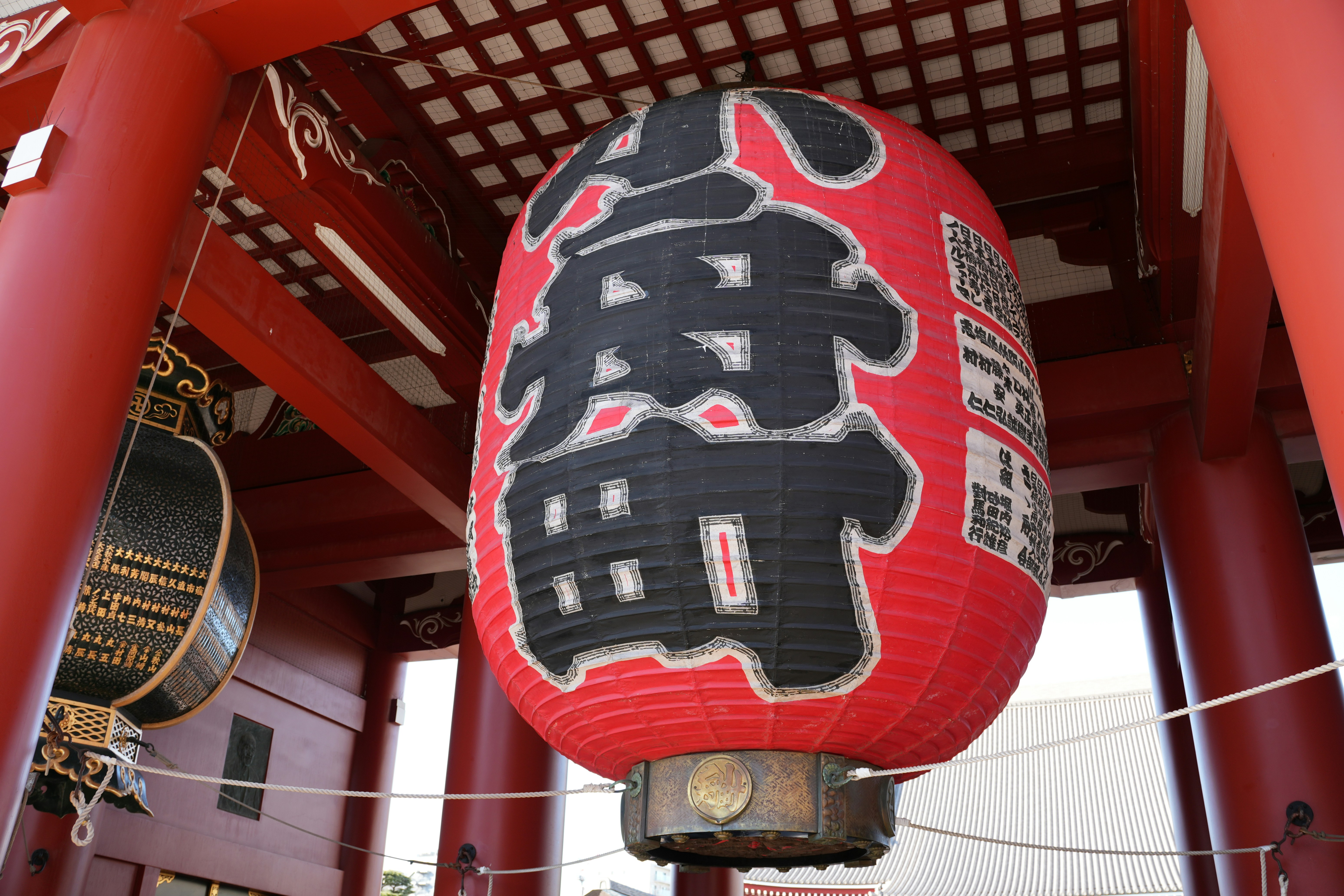 Photo by dm8ryphotos