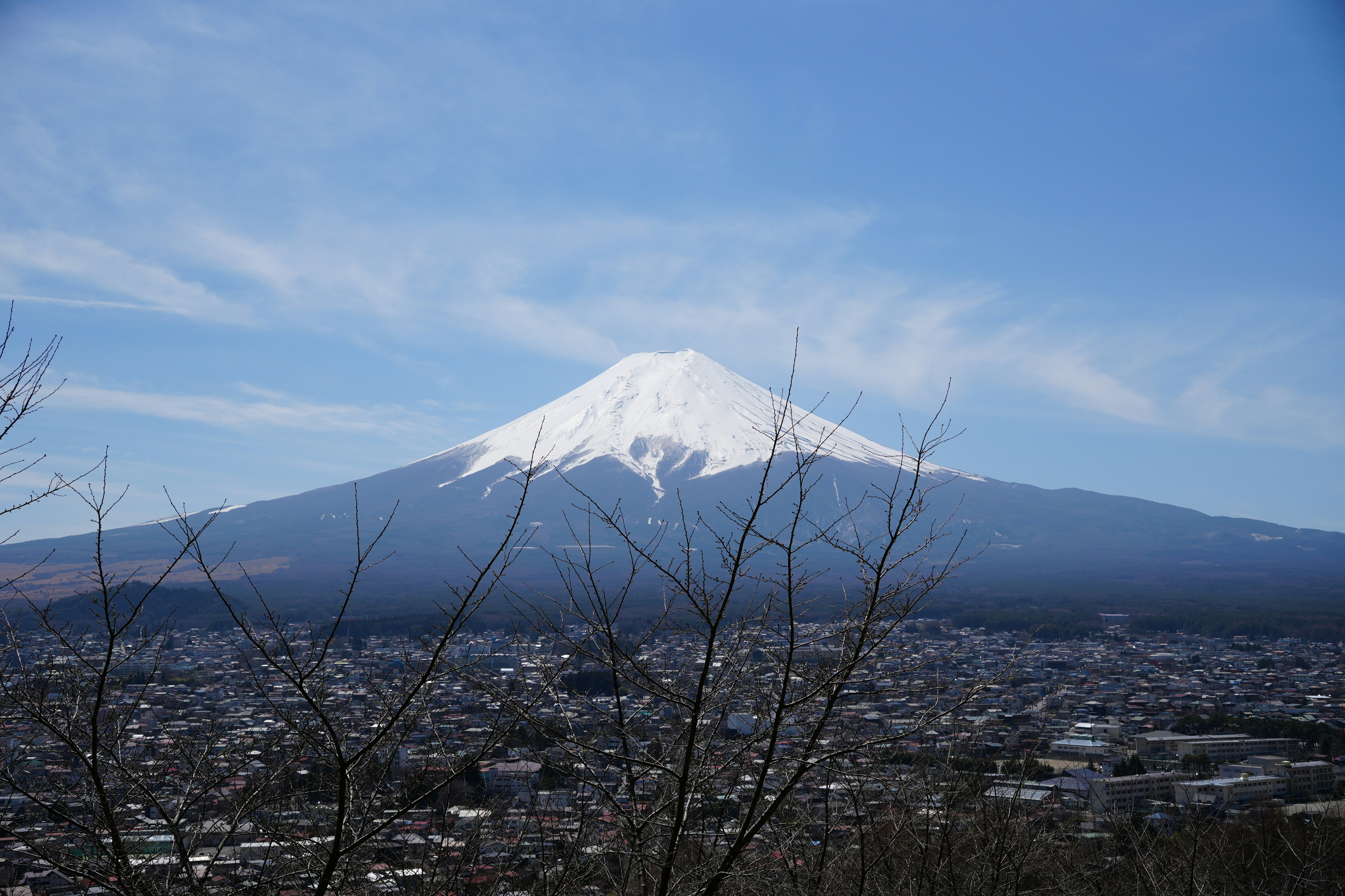 Photo by dm8ryphotos