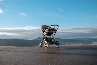 a stroller sitting on the side of a road
