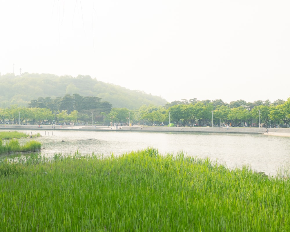 a large body of water surrounded by lush green grass