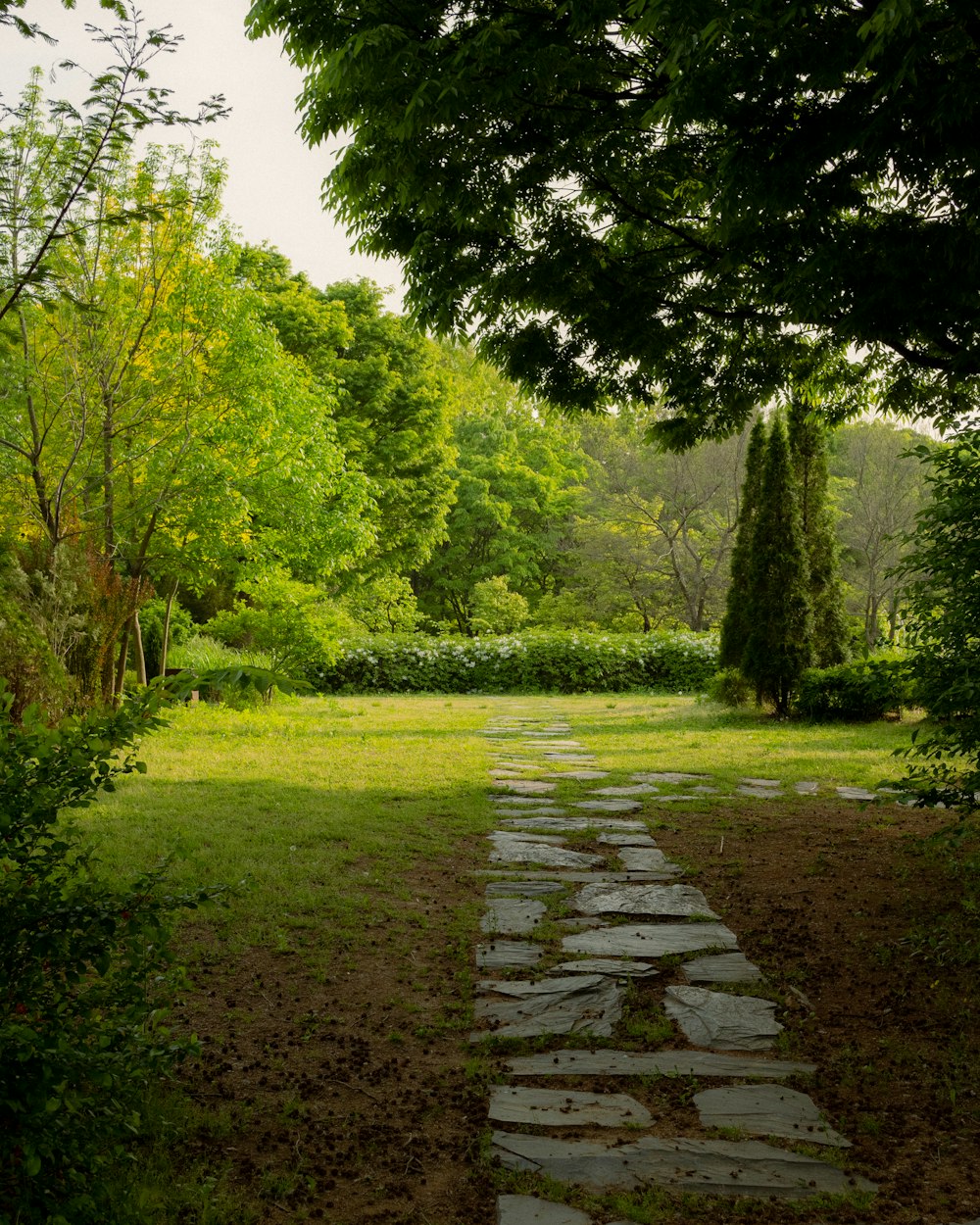 a stone path in the middle of a lush green park