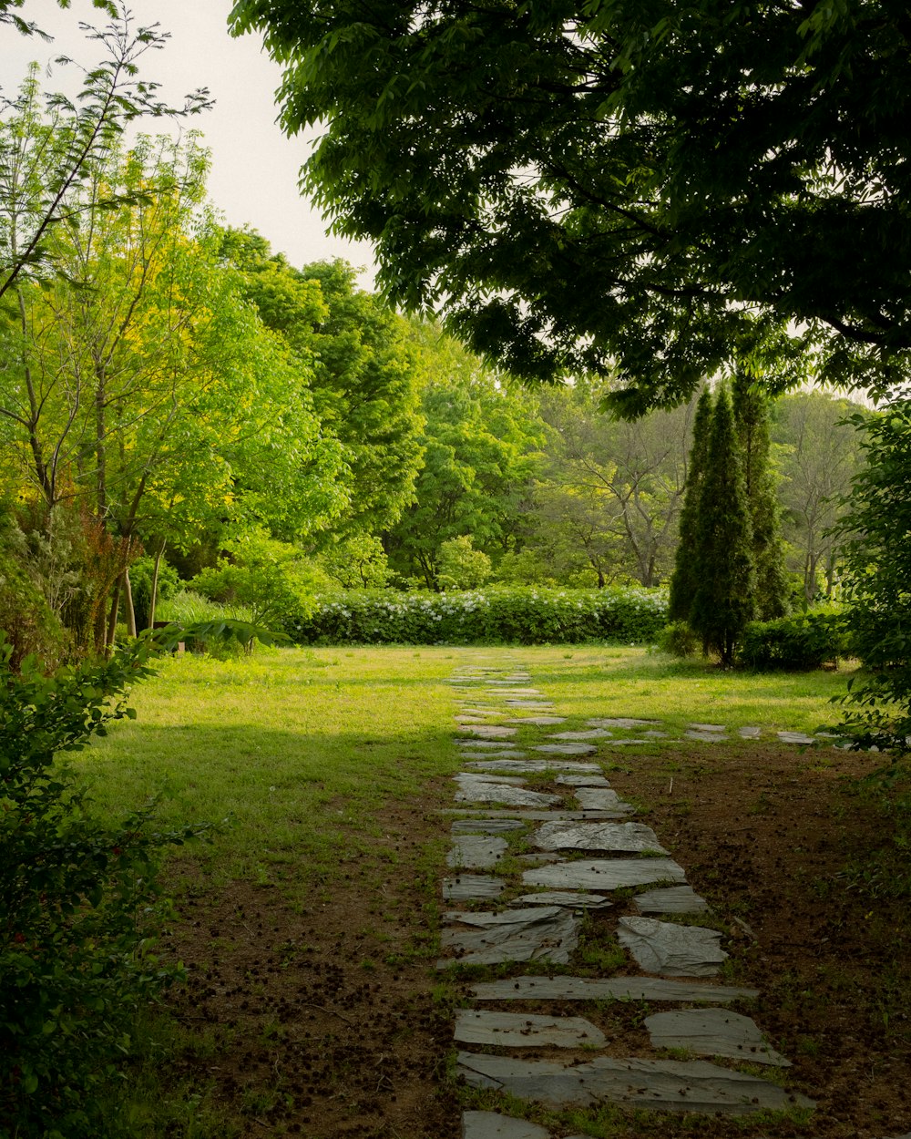 Un camino de piedra en medio de un exuberante parque verde