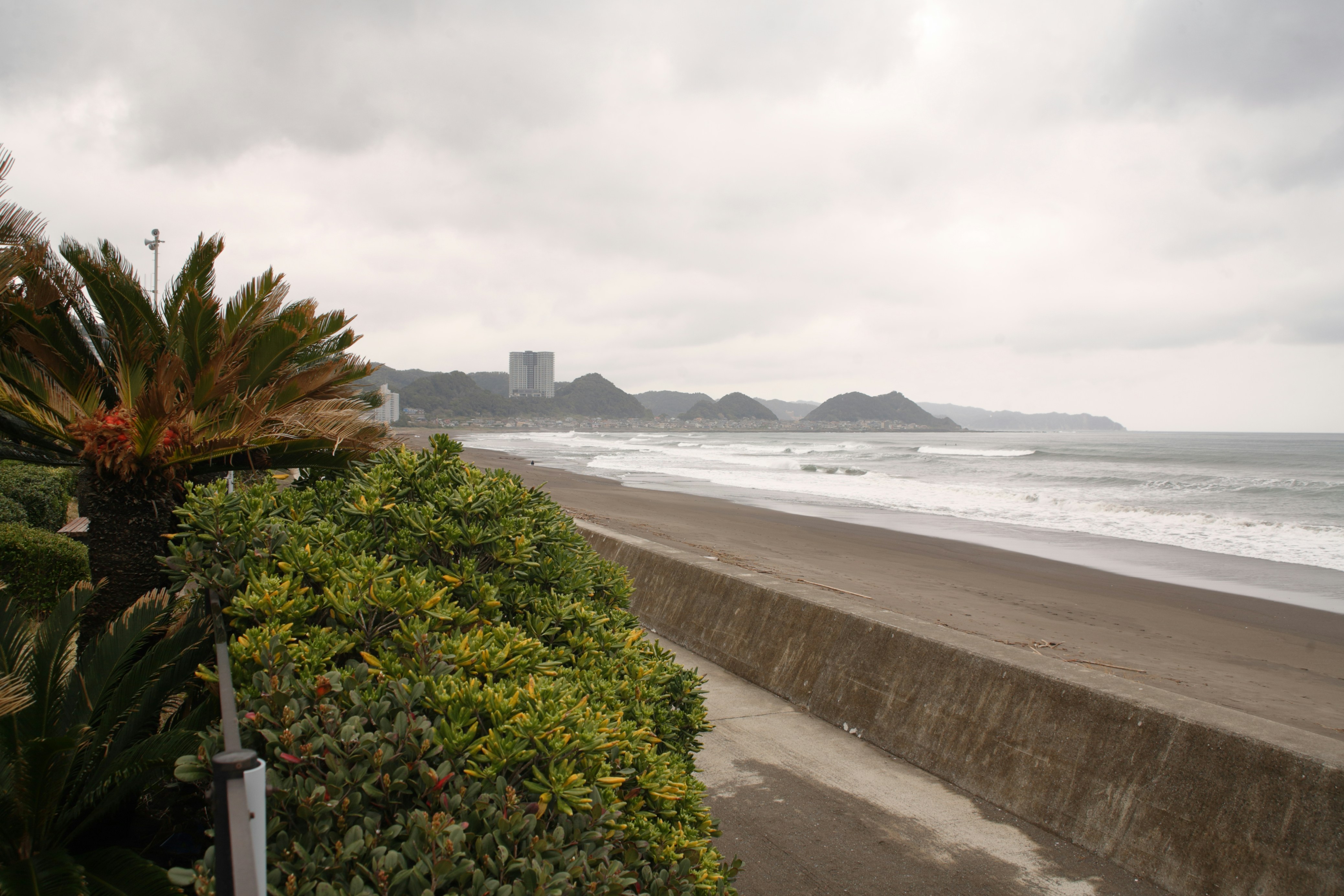 Inland Chiba Guide 2026: Hoki Museum, Yoro Valley & Otaki