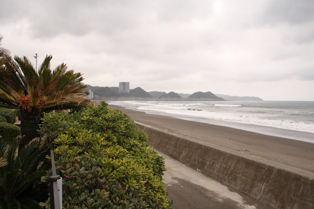 a view of a beach from a walkway