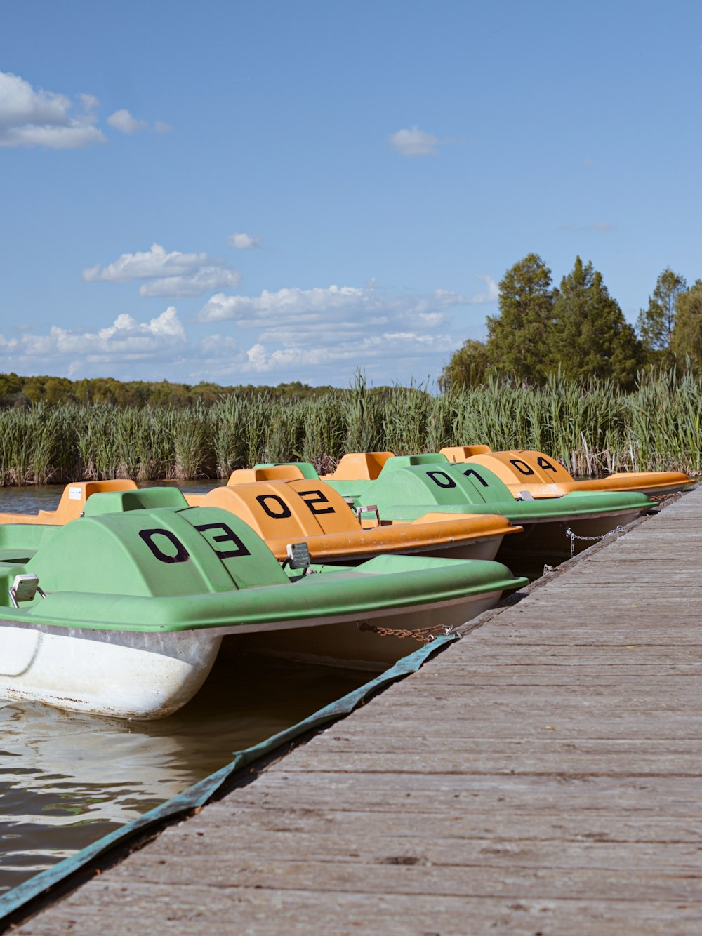 a row of water skis sitting on top of a wooden dock