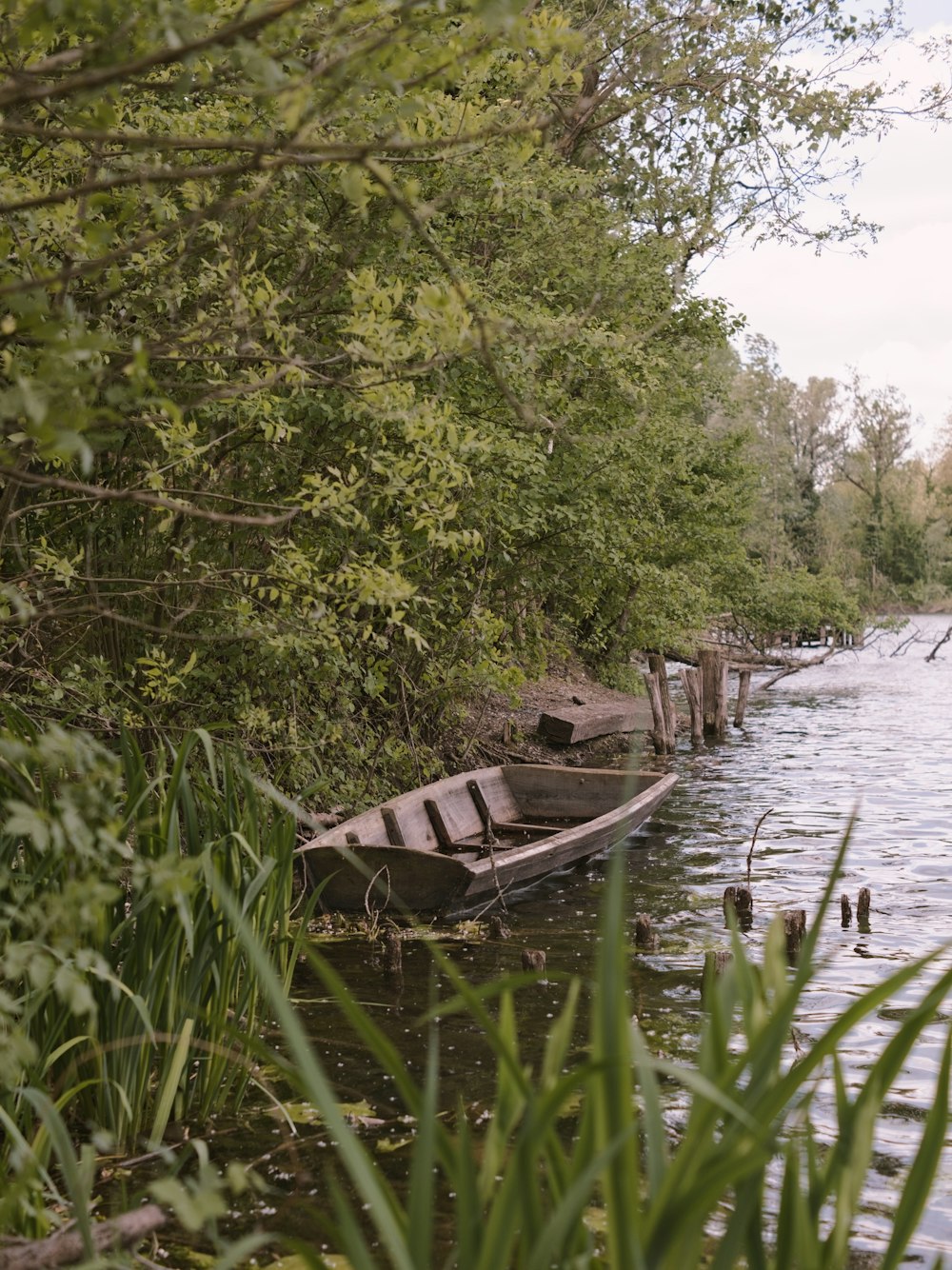 a boat sitting on top of a river next to a forest