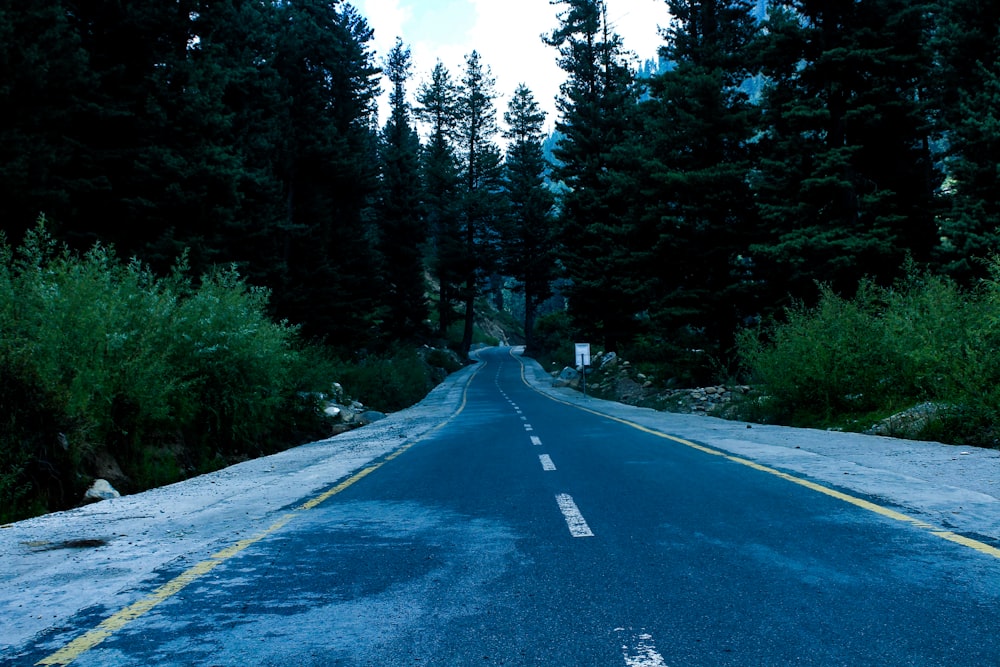 an empty road in the middle of a forest