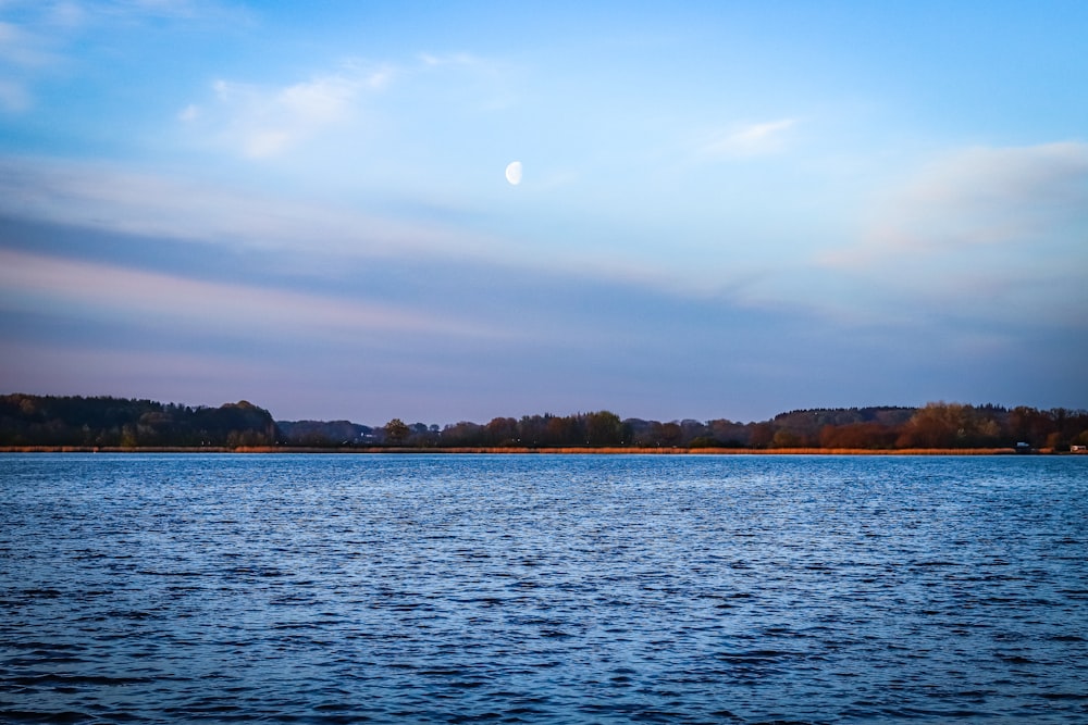 a body of water with trees in the background