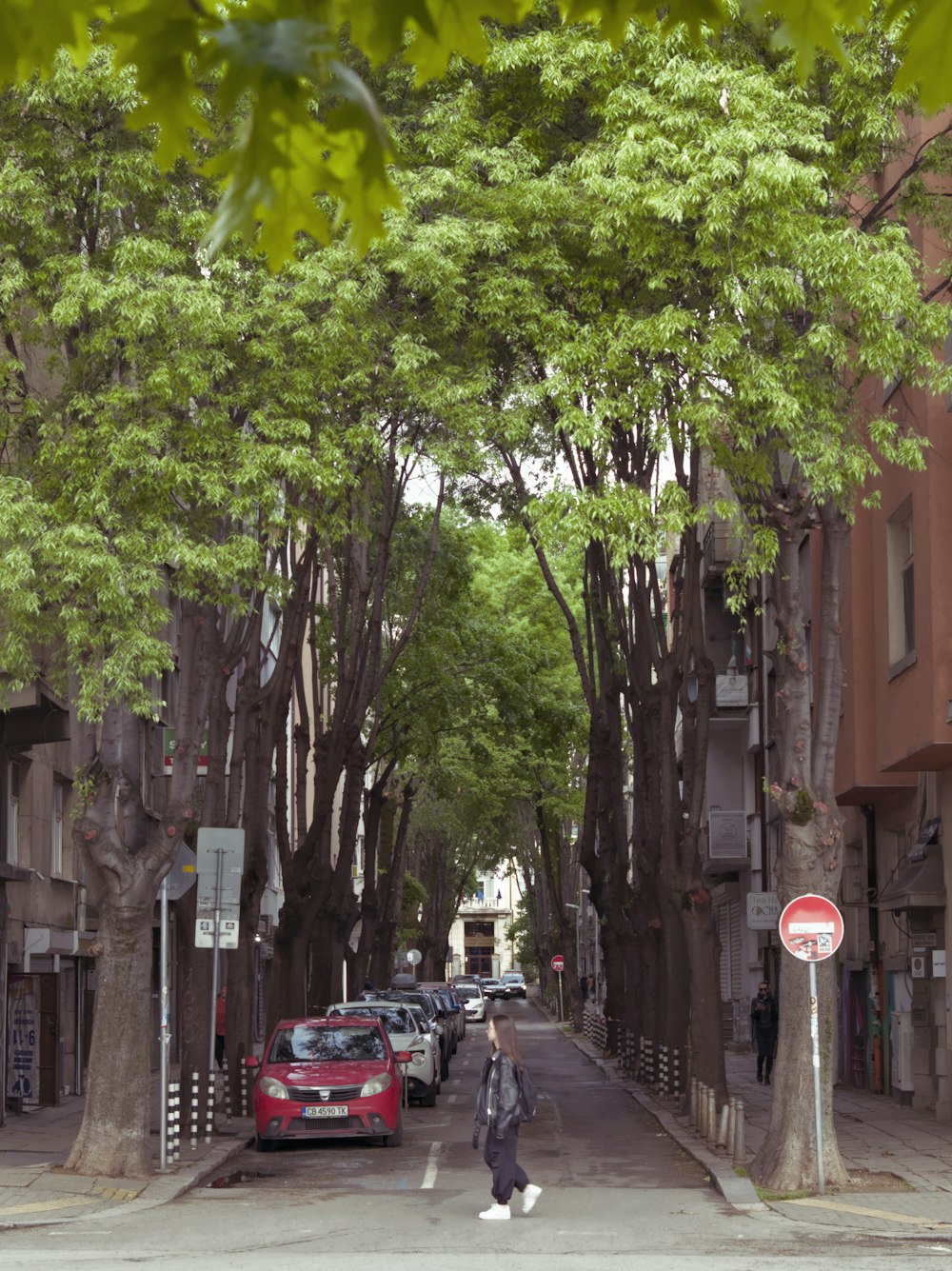 a man walking down a street next to tall trees