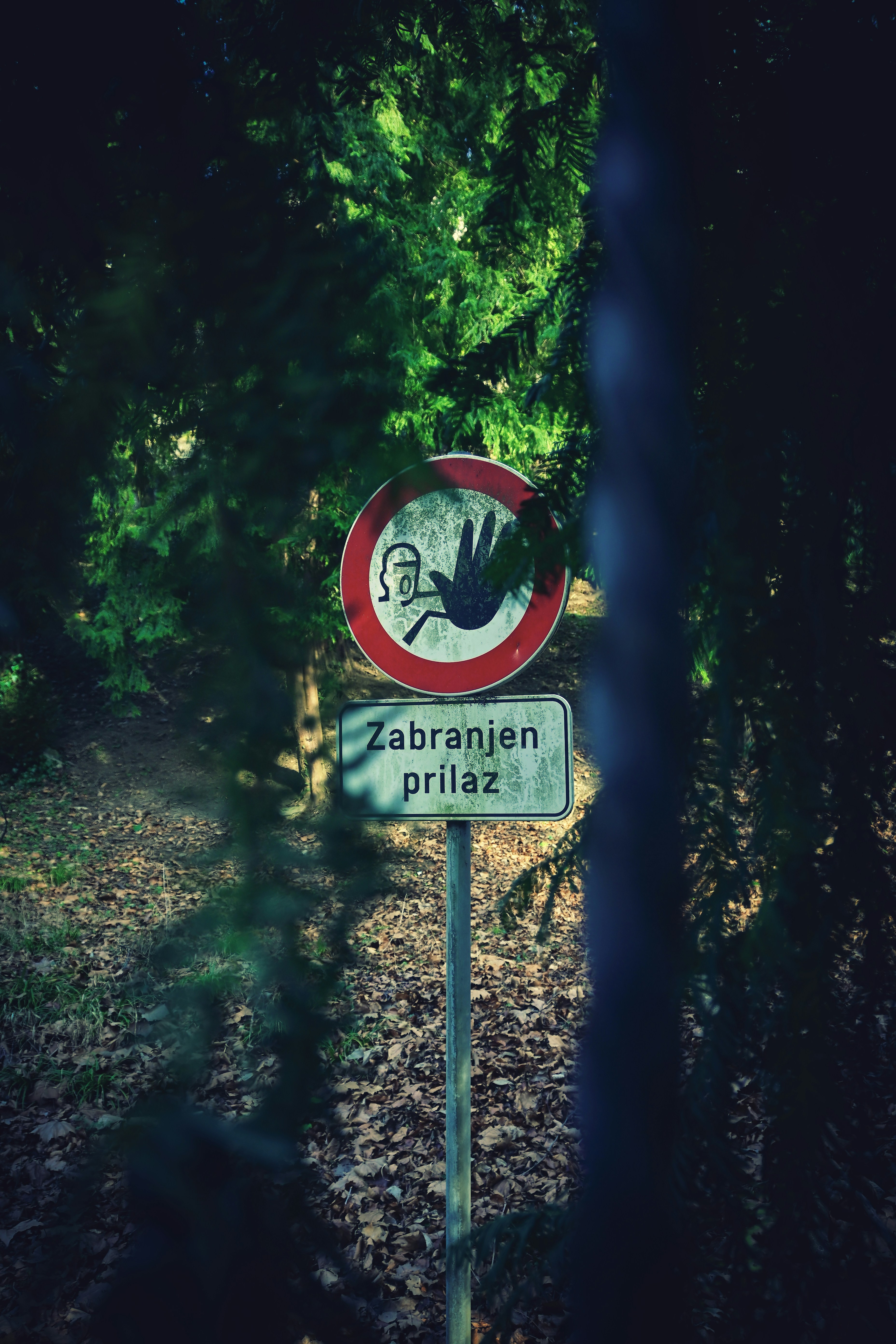 Audio Copyright Checker