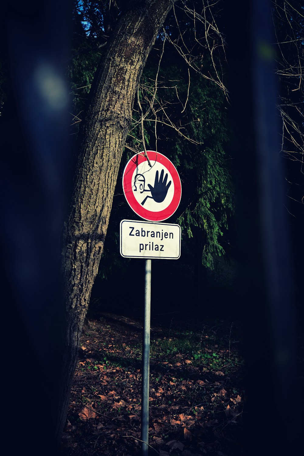 a red and white street sign sitting next to a tree