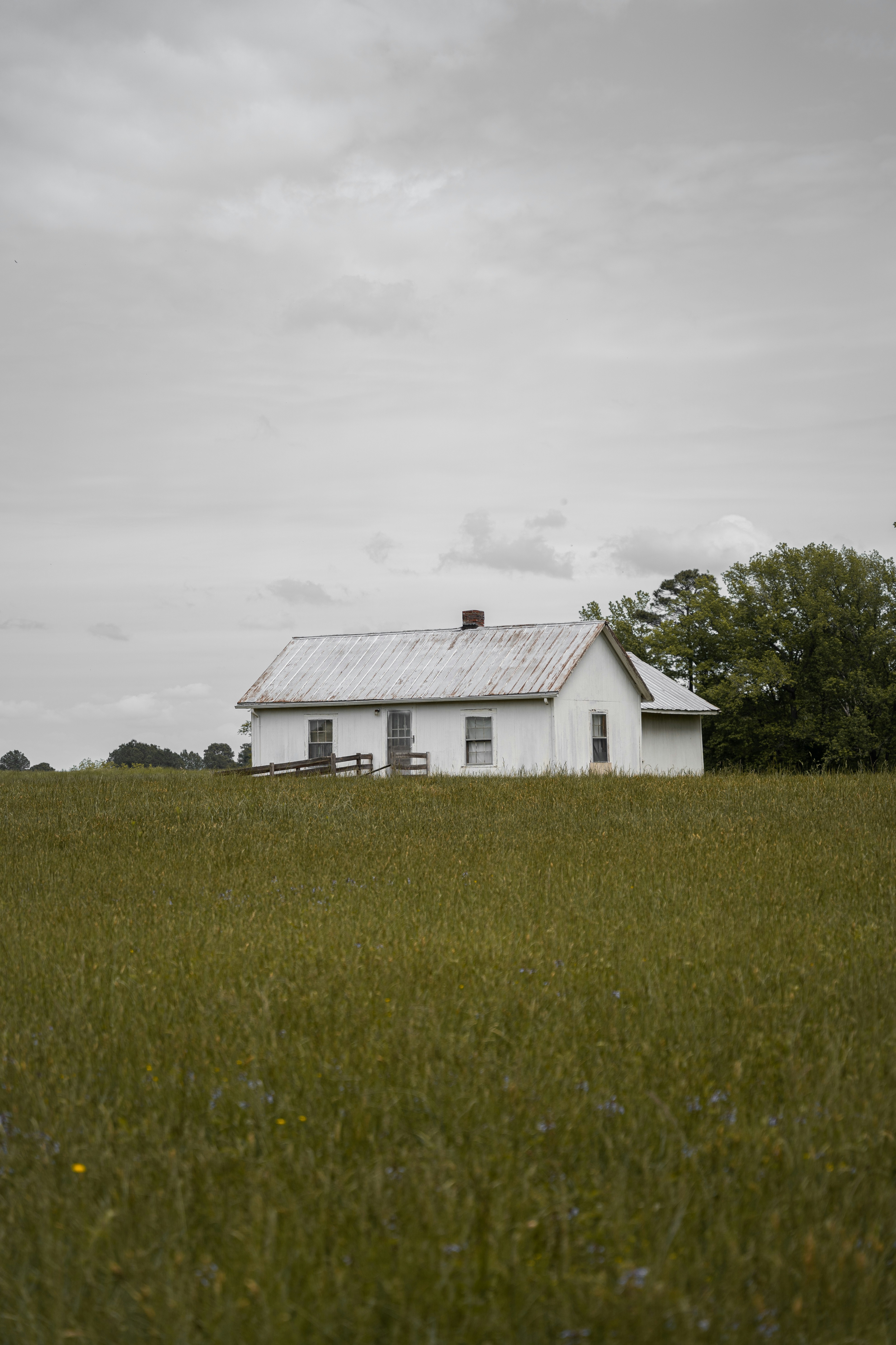 Photo by thebradleygossett