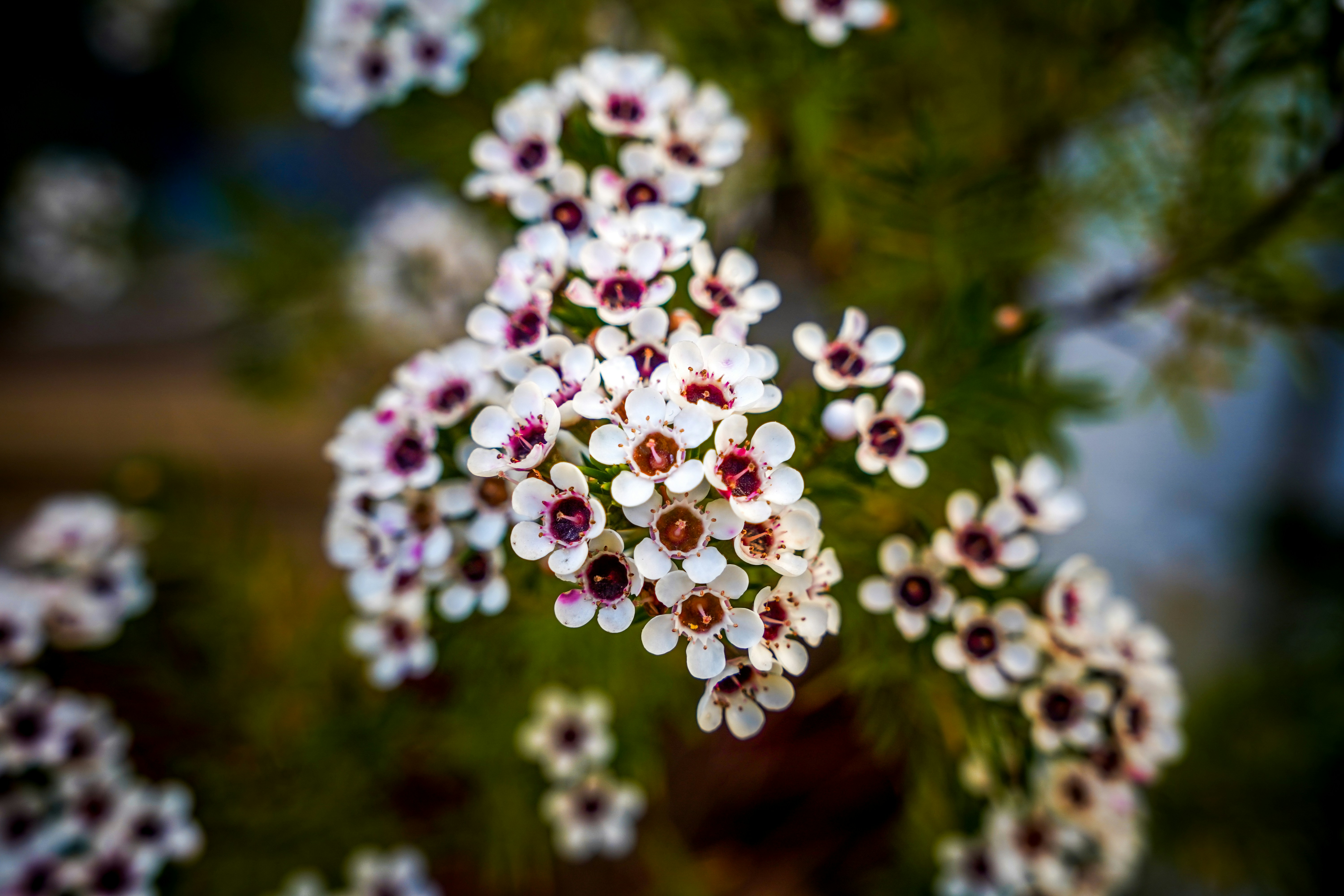 Photo by tiago_f_ferreira