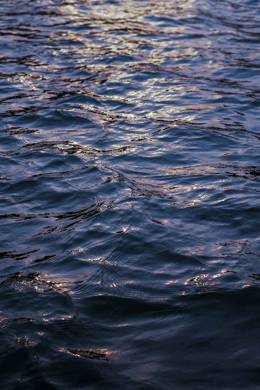 水面に浮かぶボート