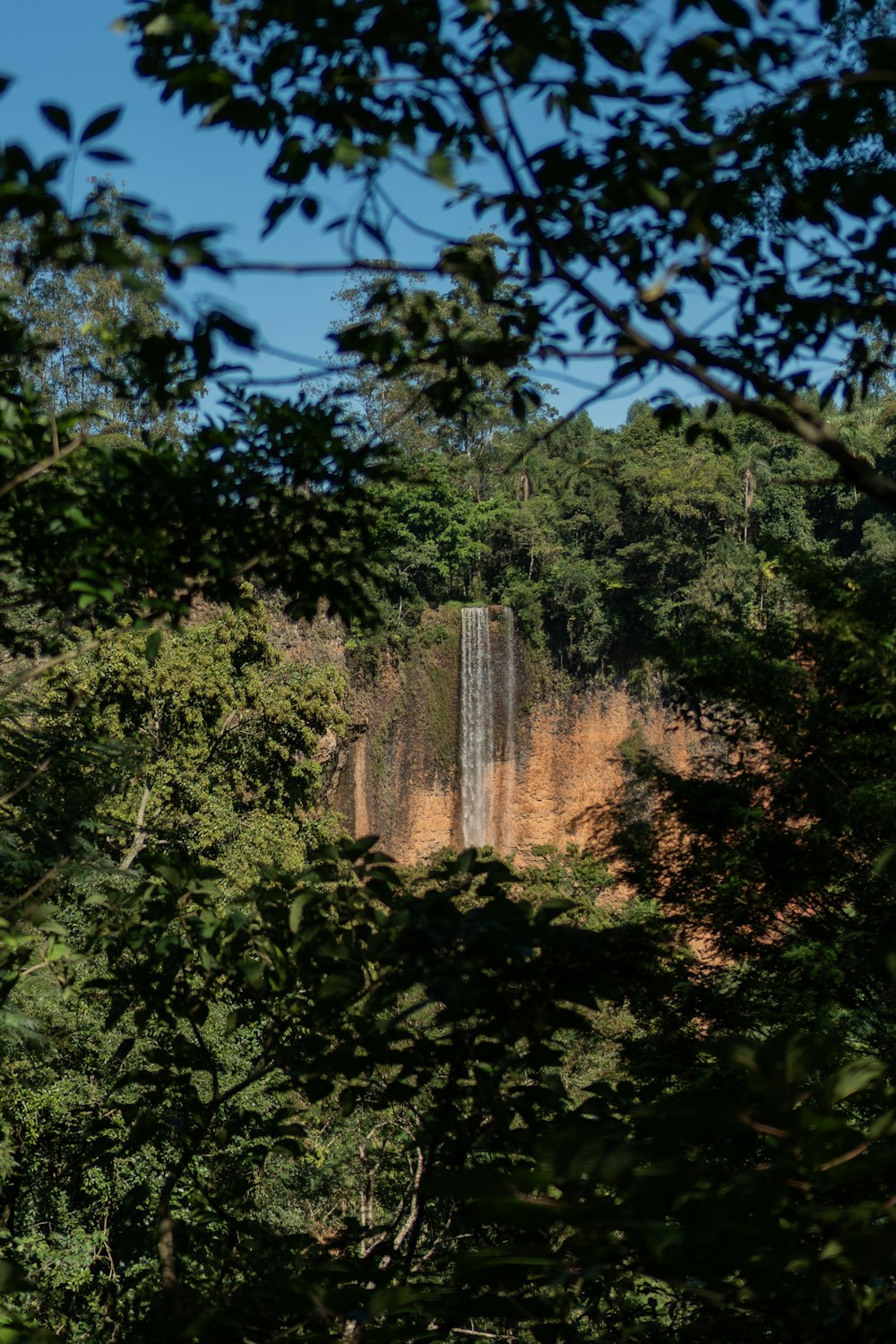 a large waterfall in the middle of a forest