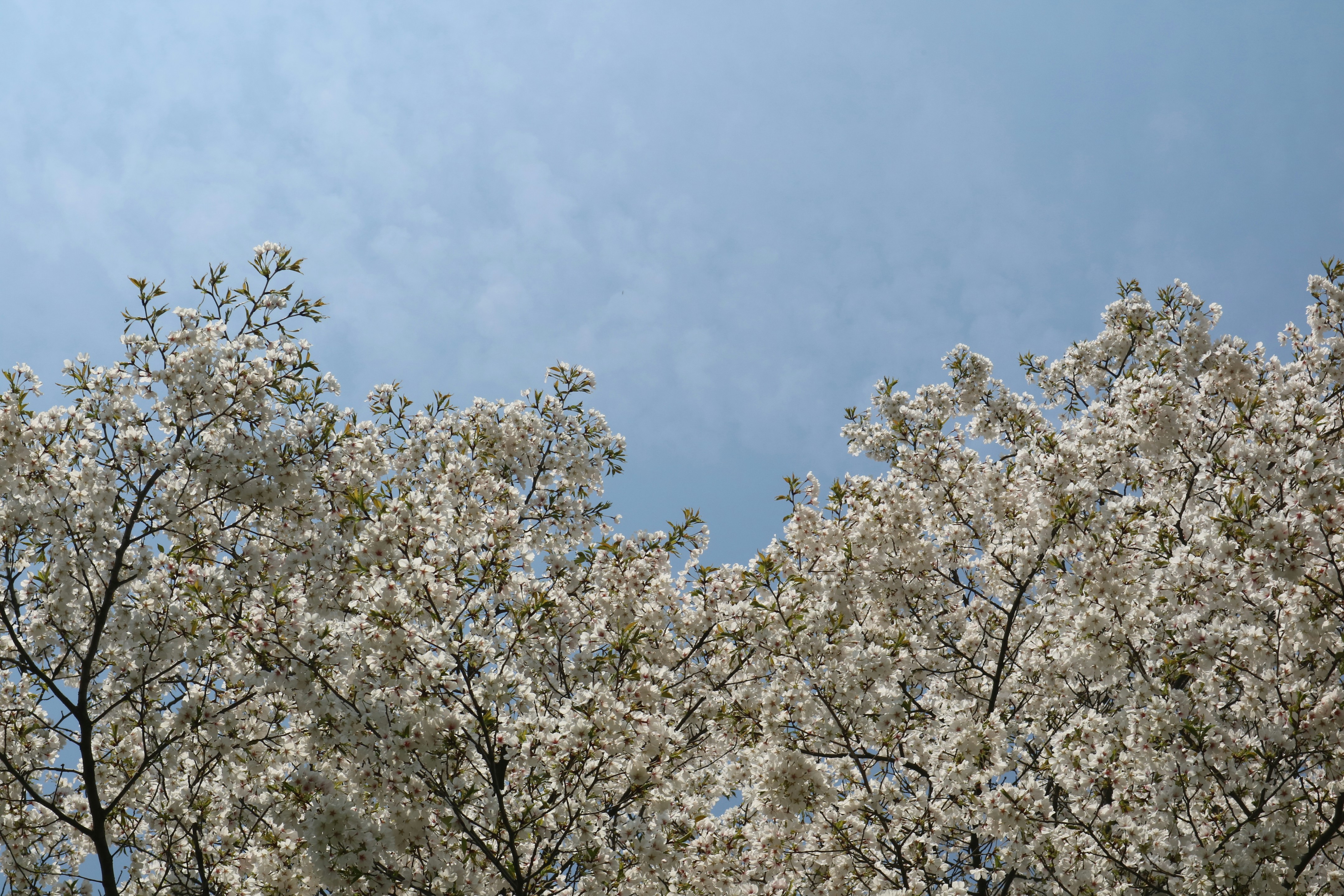 Photo by partofworld