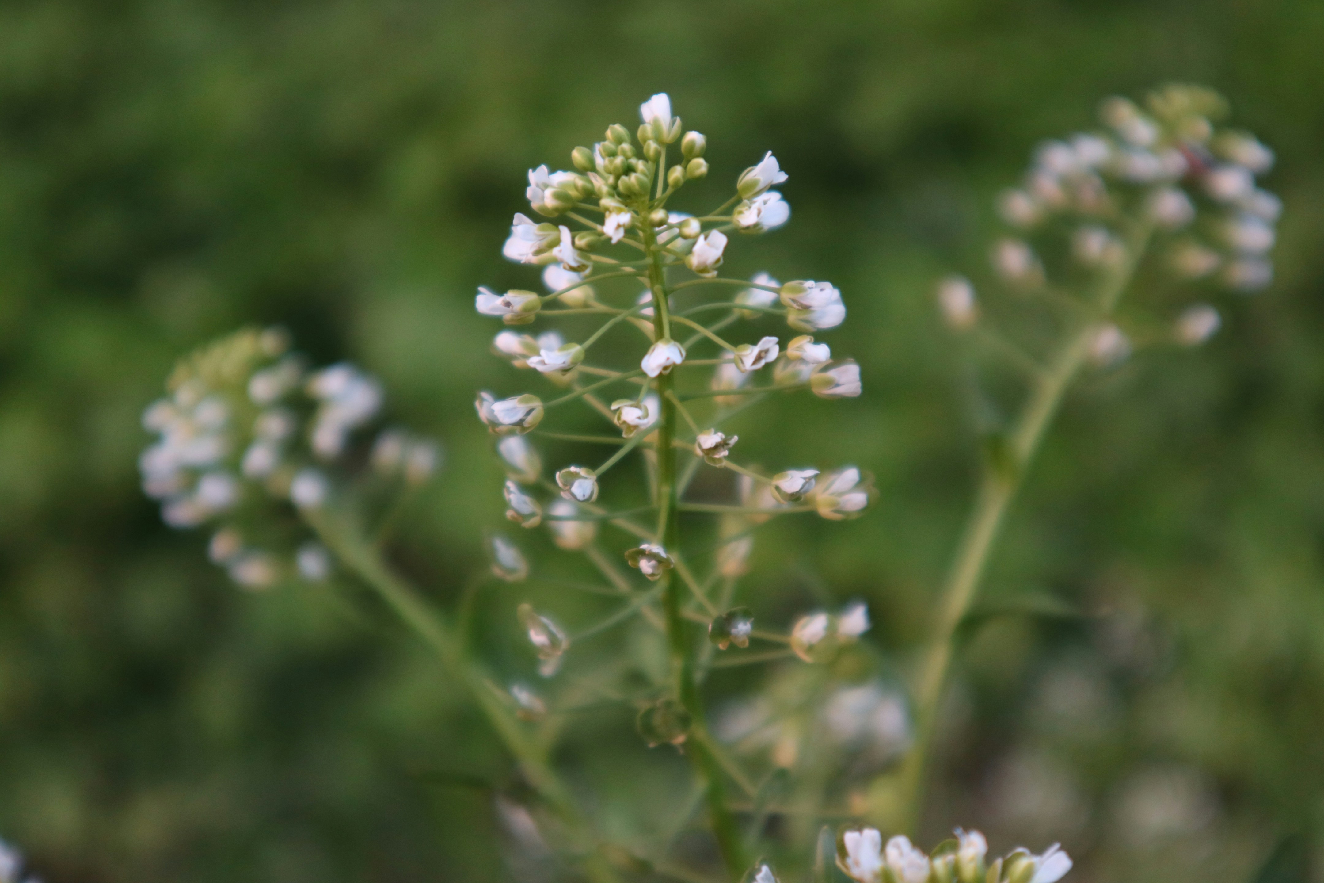 Photo by partofworld