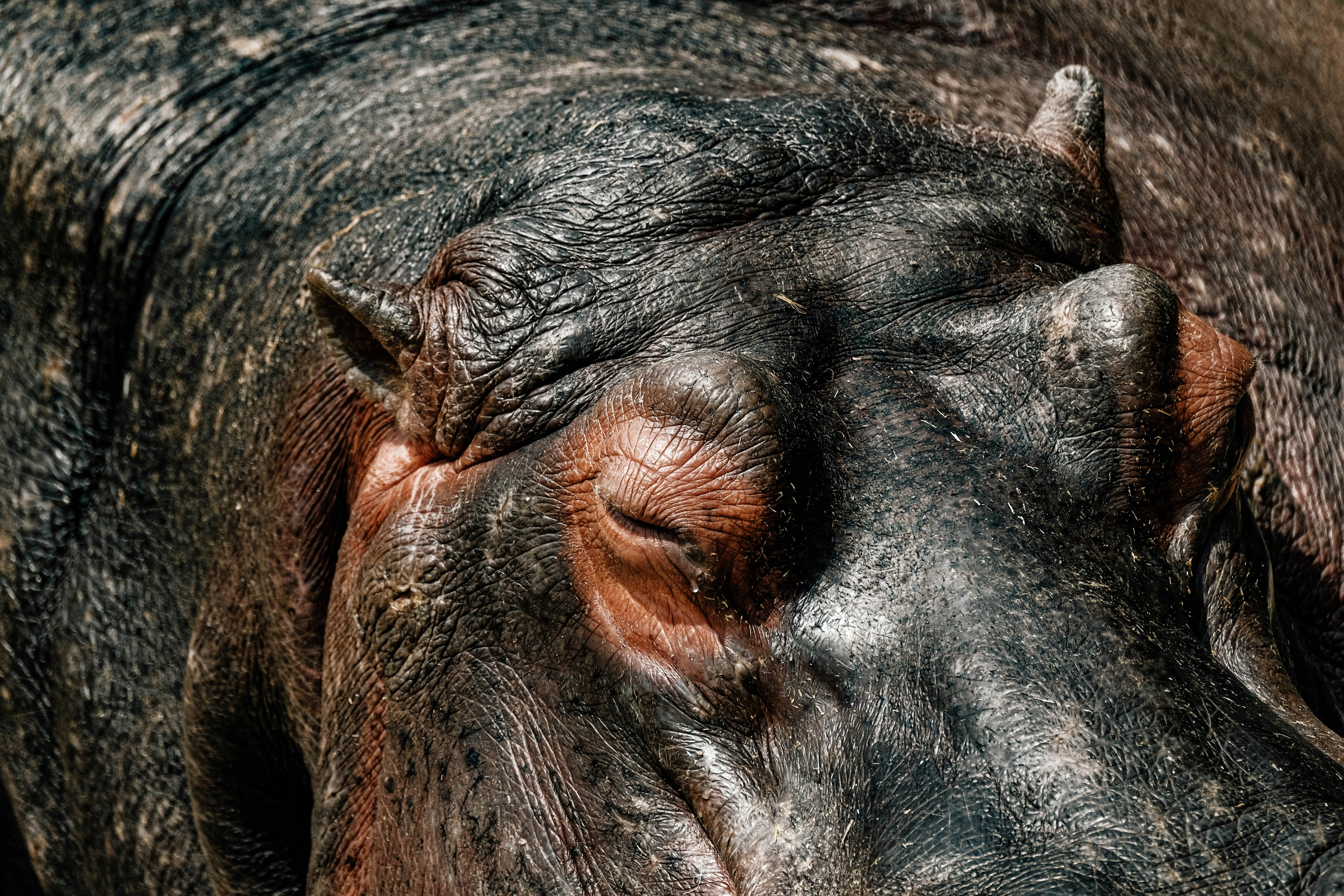 Photo by insungpandora