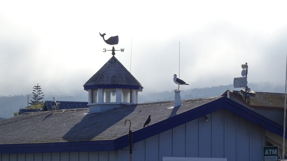 a bird sitting on top of a roof next to a weather vane