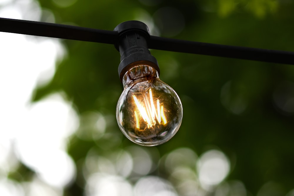 une ampoule suspendue à un fil avec des arbres en arrière-plan