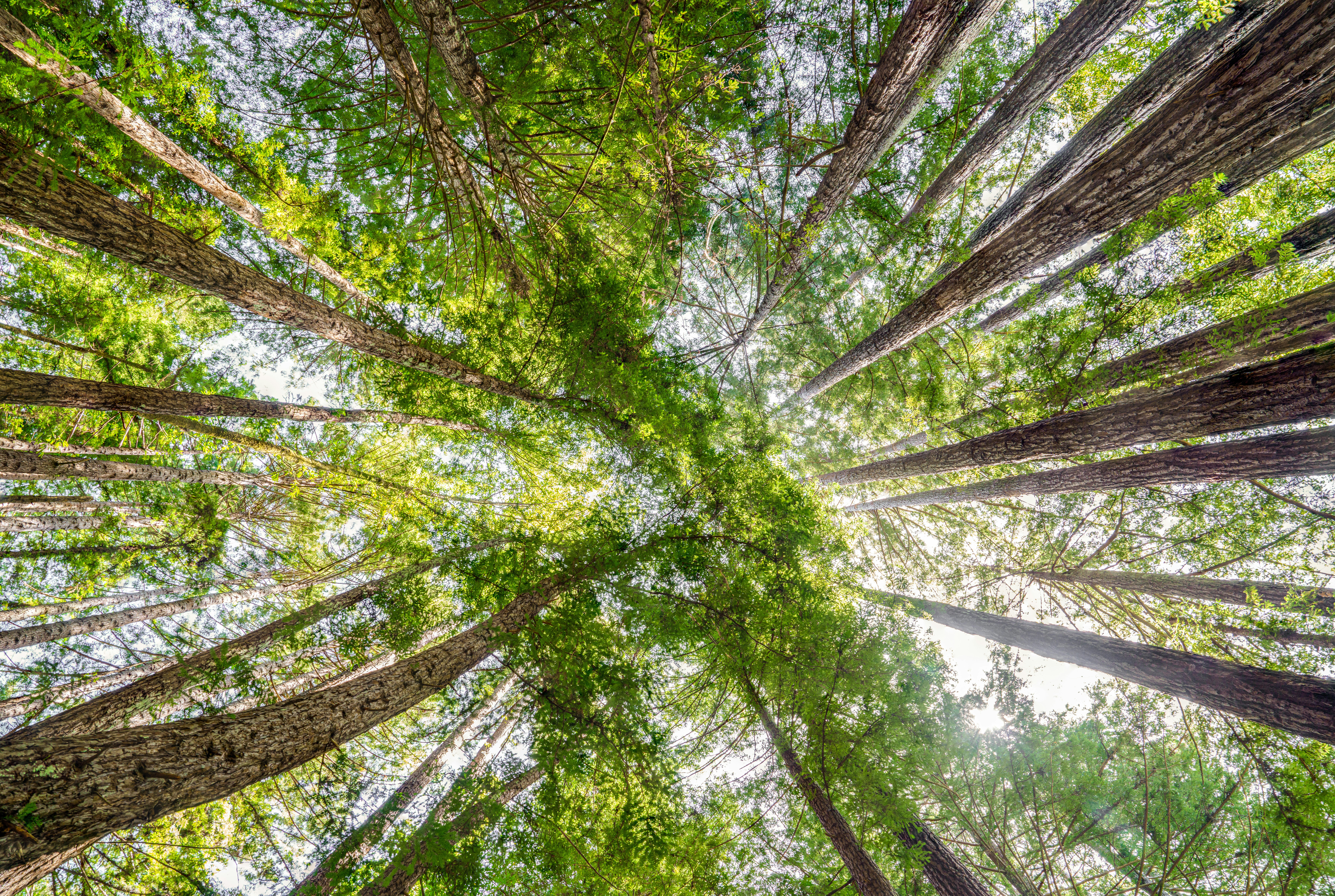 Photo by happy_pixel