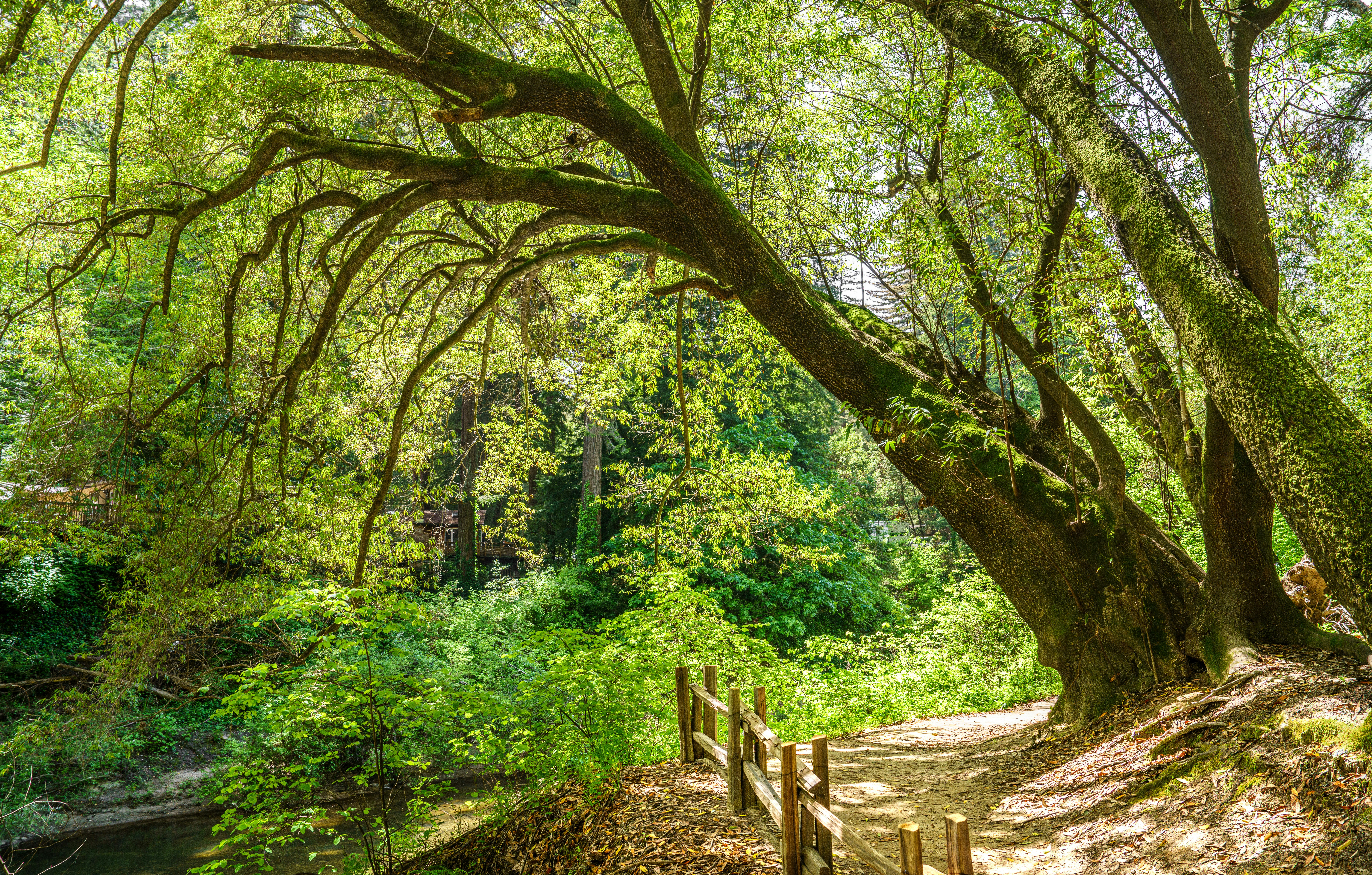 Photo by happy_pixel