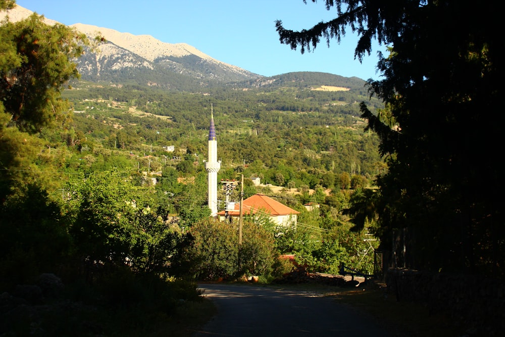 a view of a church in the middle of a forest