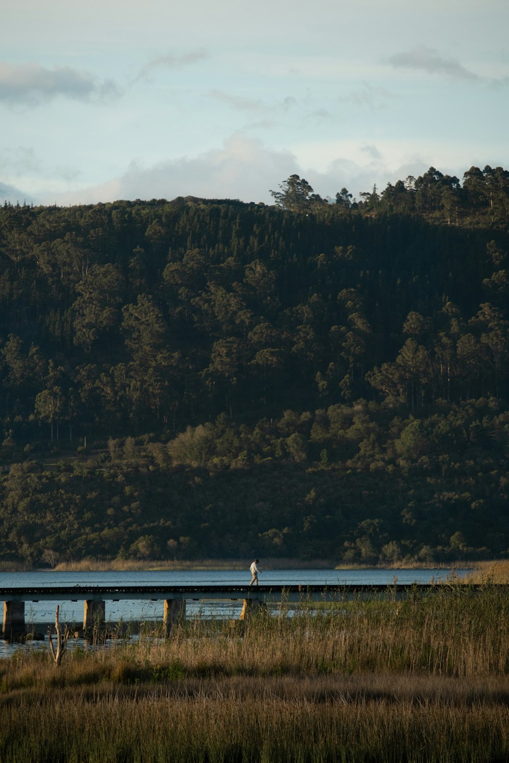 a person walking across a bridge over a body of water