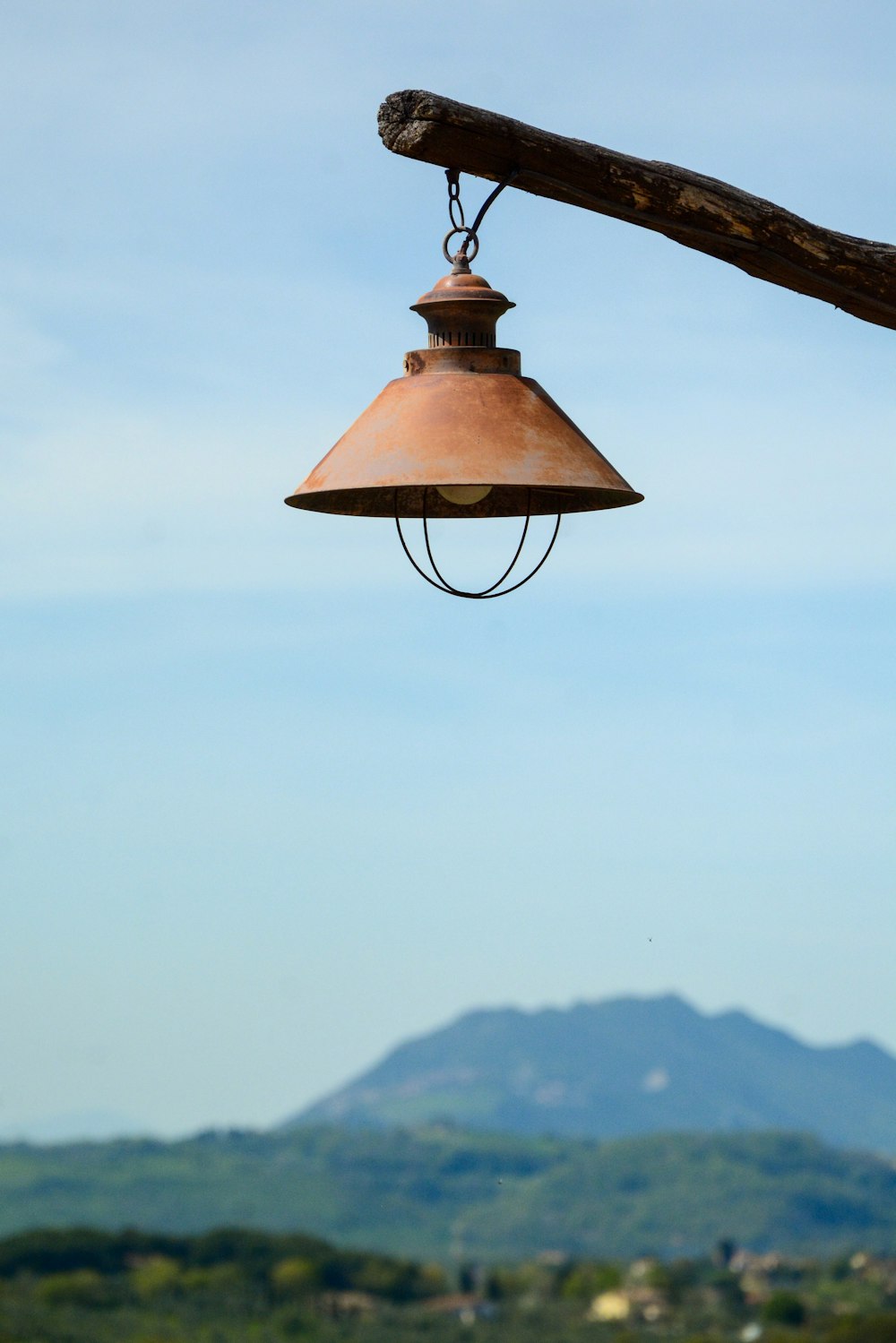 a bell hanging from a tree branch with a mountain in the background