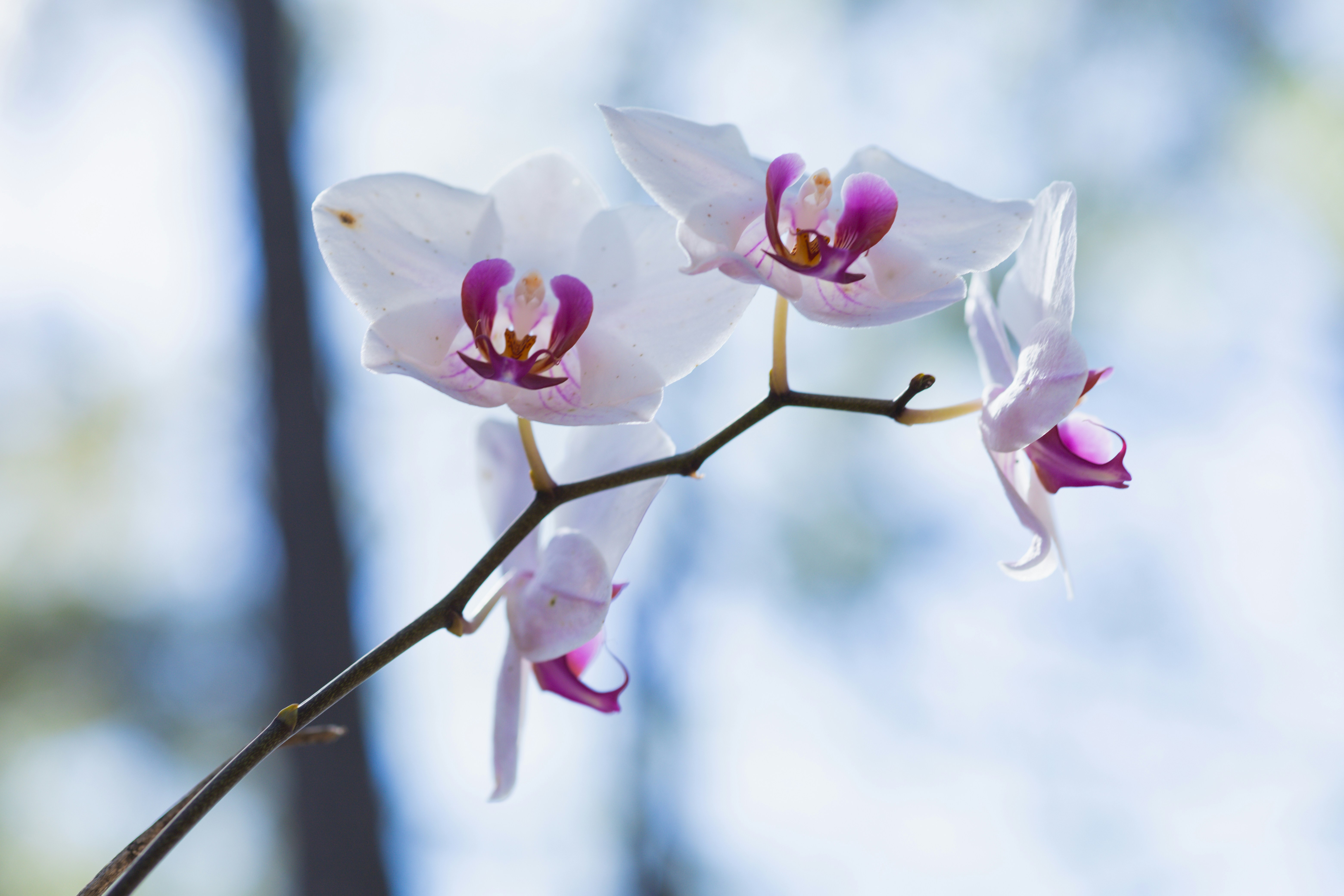 Photo by rrodriguesim