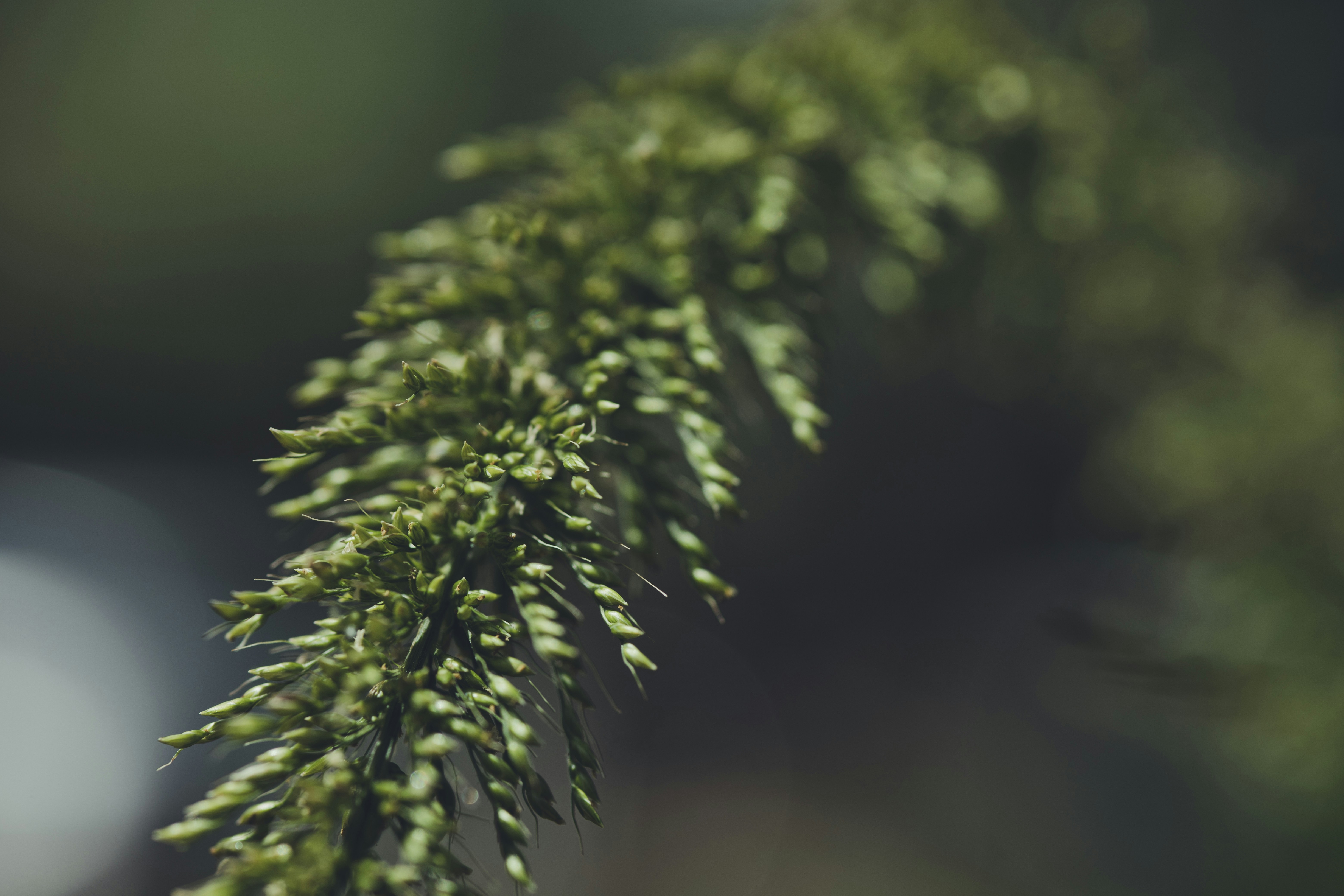 Photo by rrodriguesim