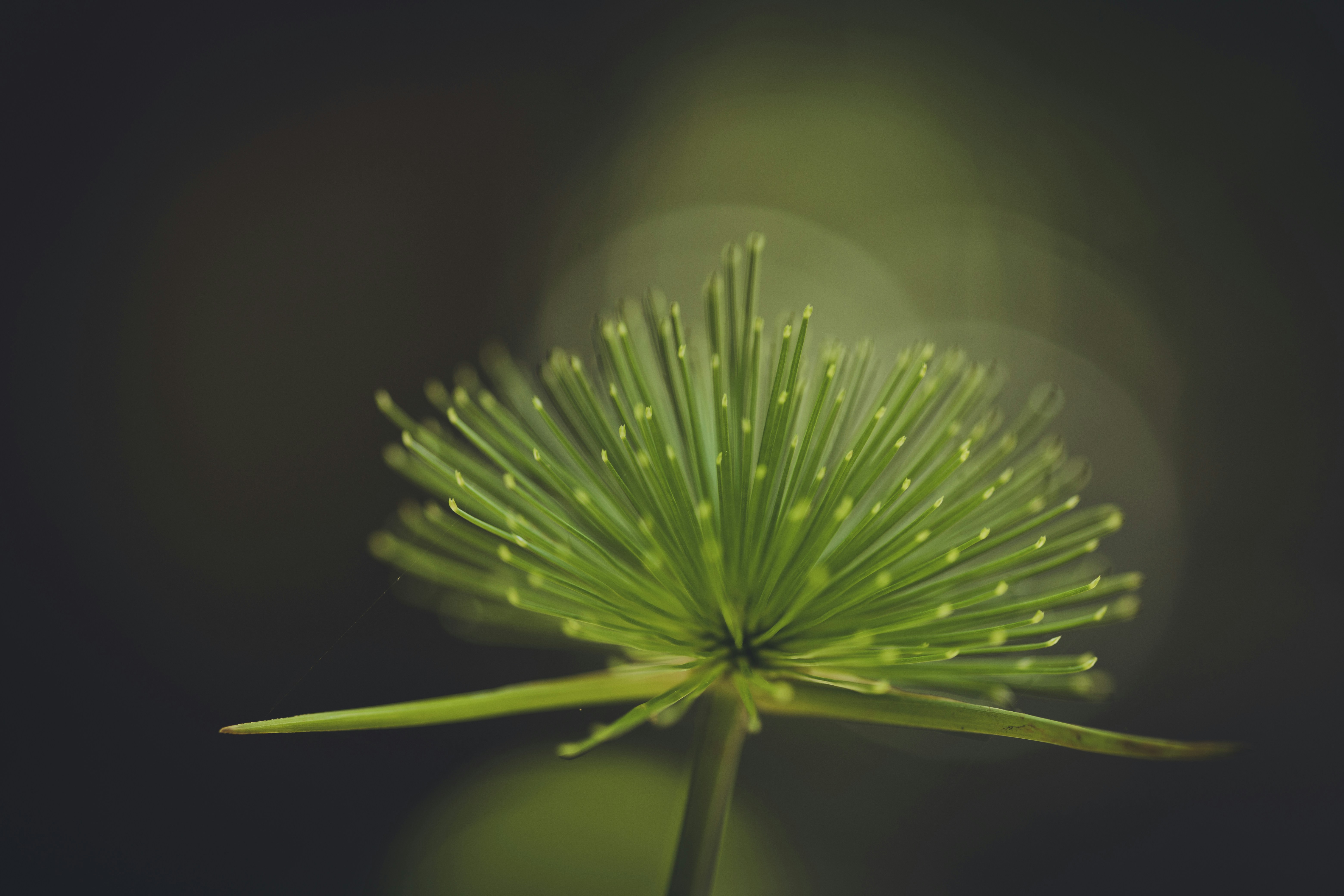 Photo by rrodriguesim