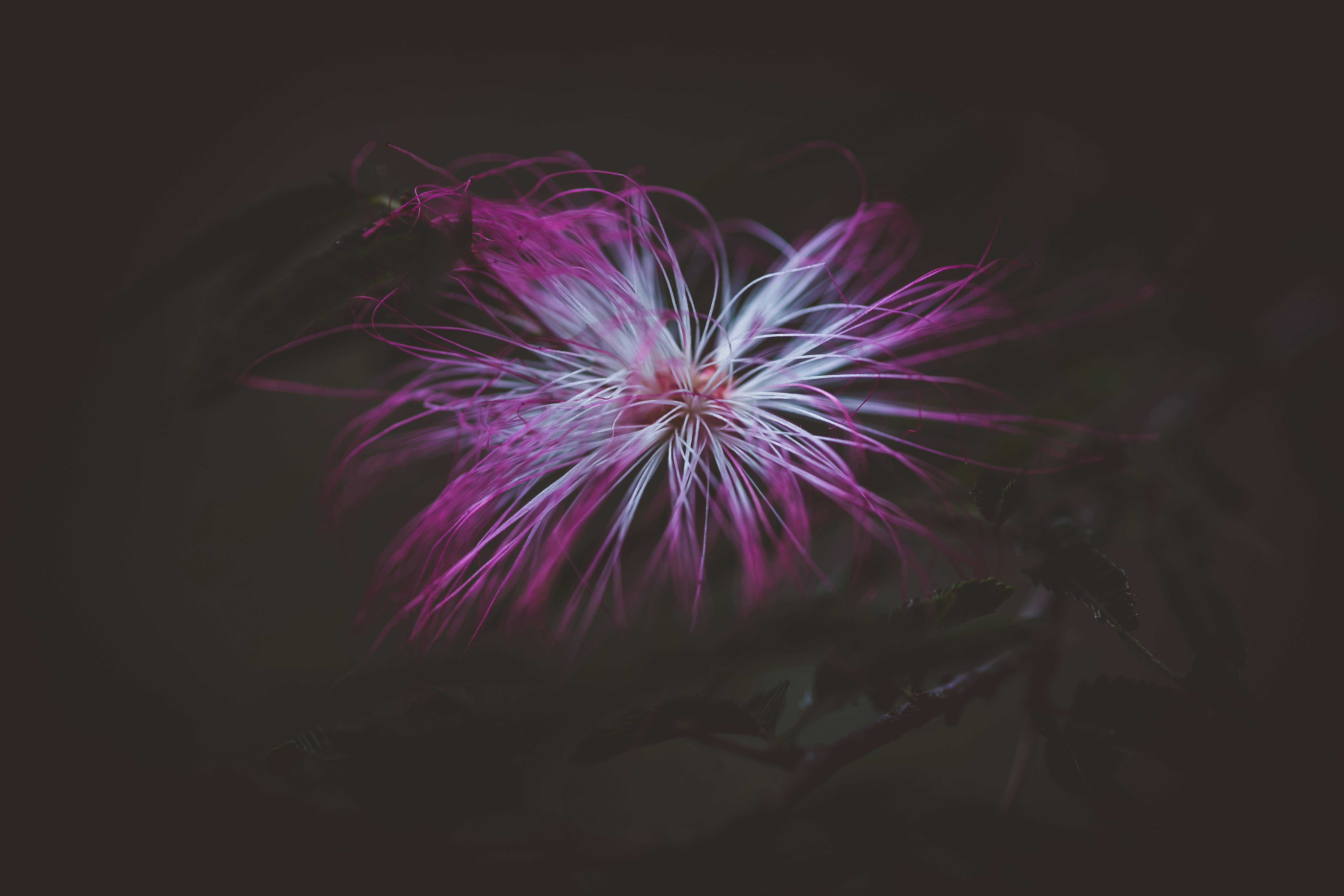 Photo by rrodriguesim