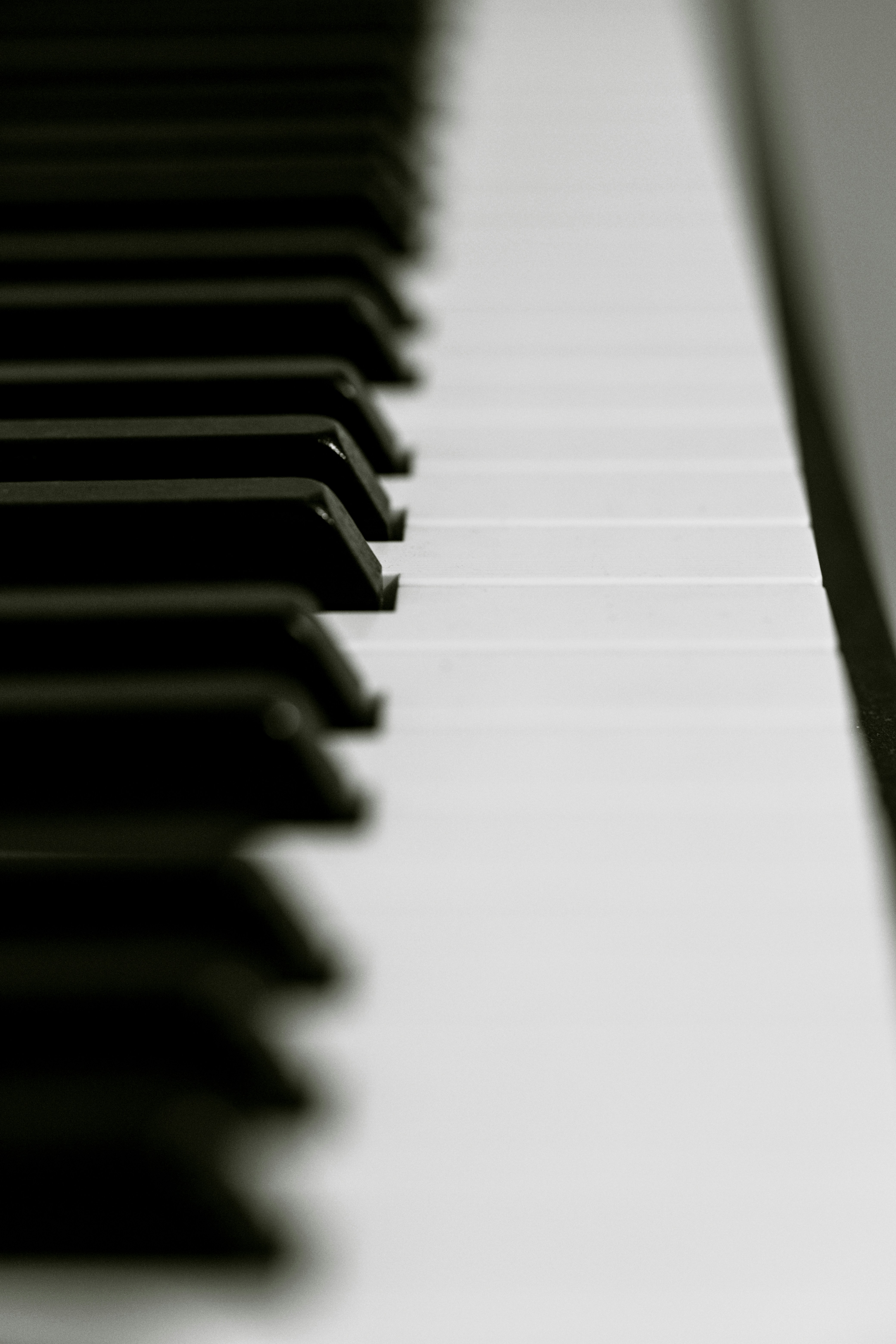 Photo by rrodriguesim