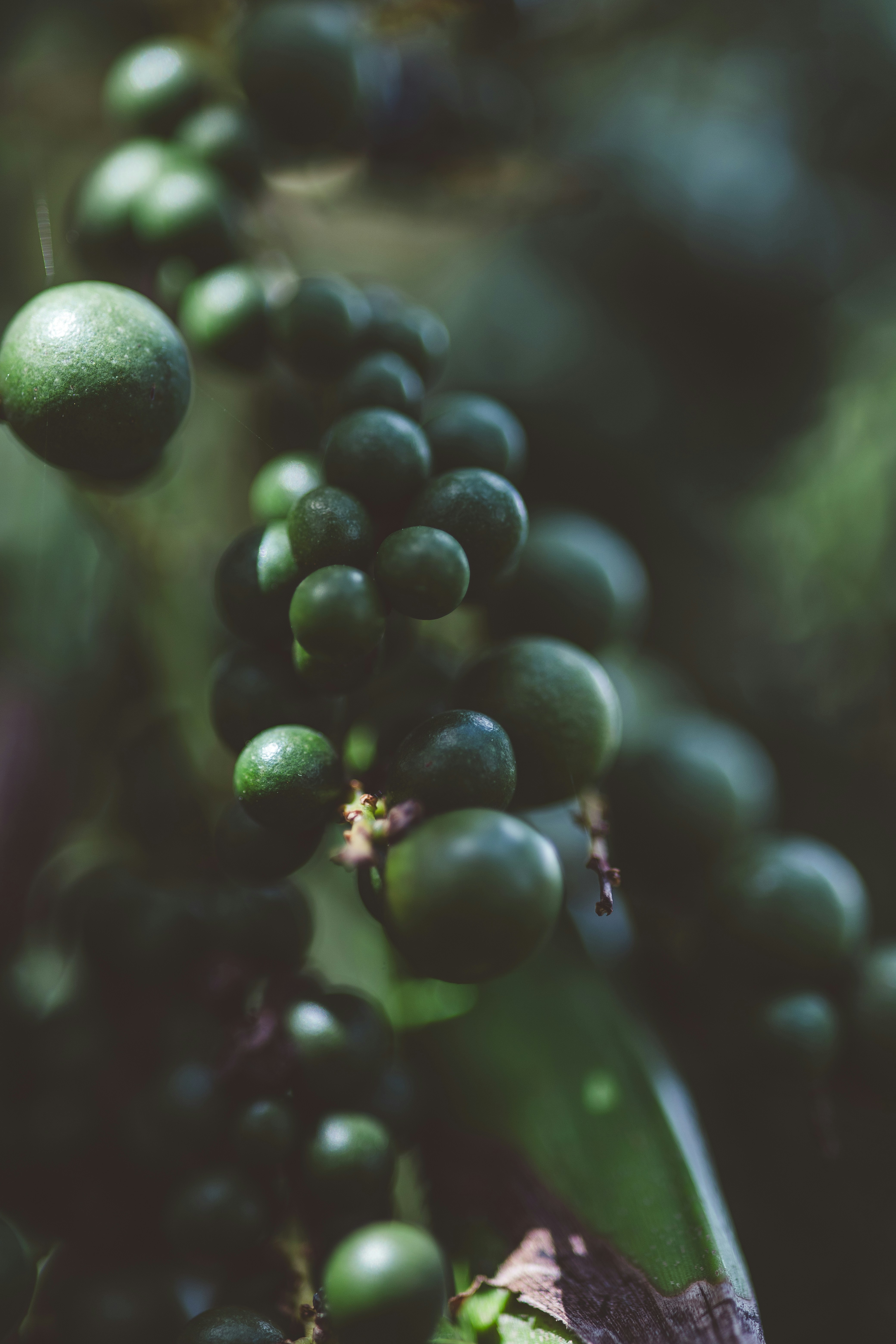 Photo by rrodriguesim