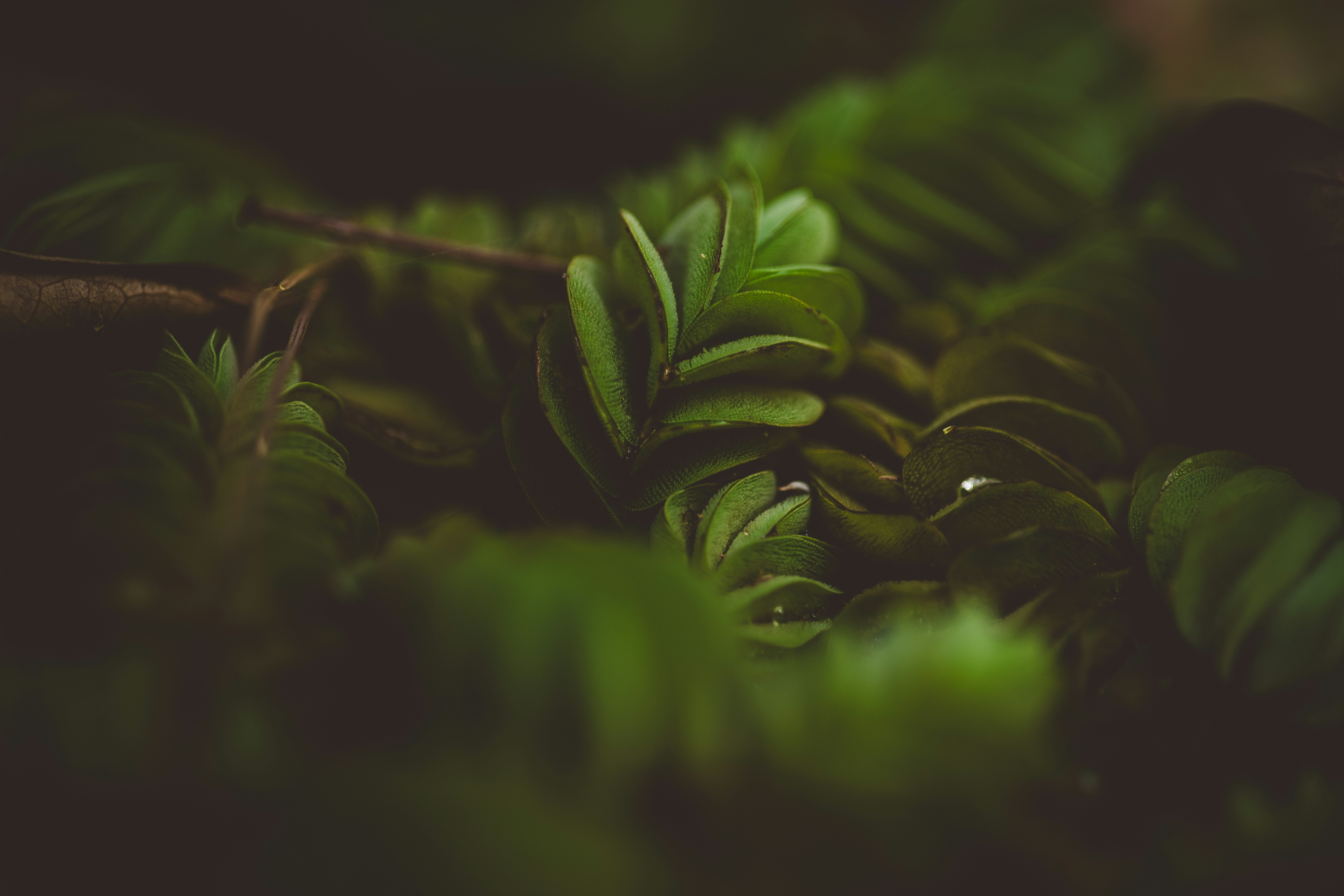 Photo by rrodriguesim