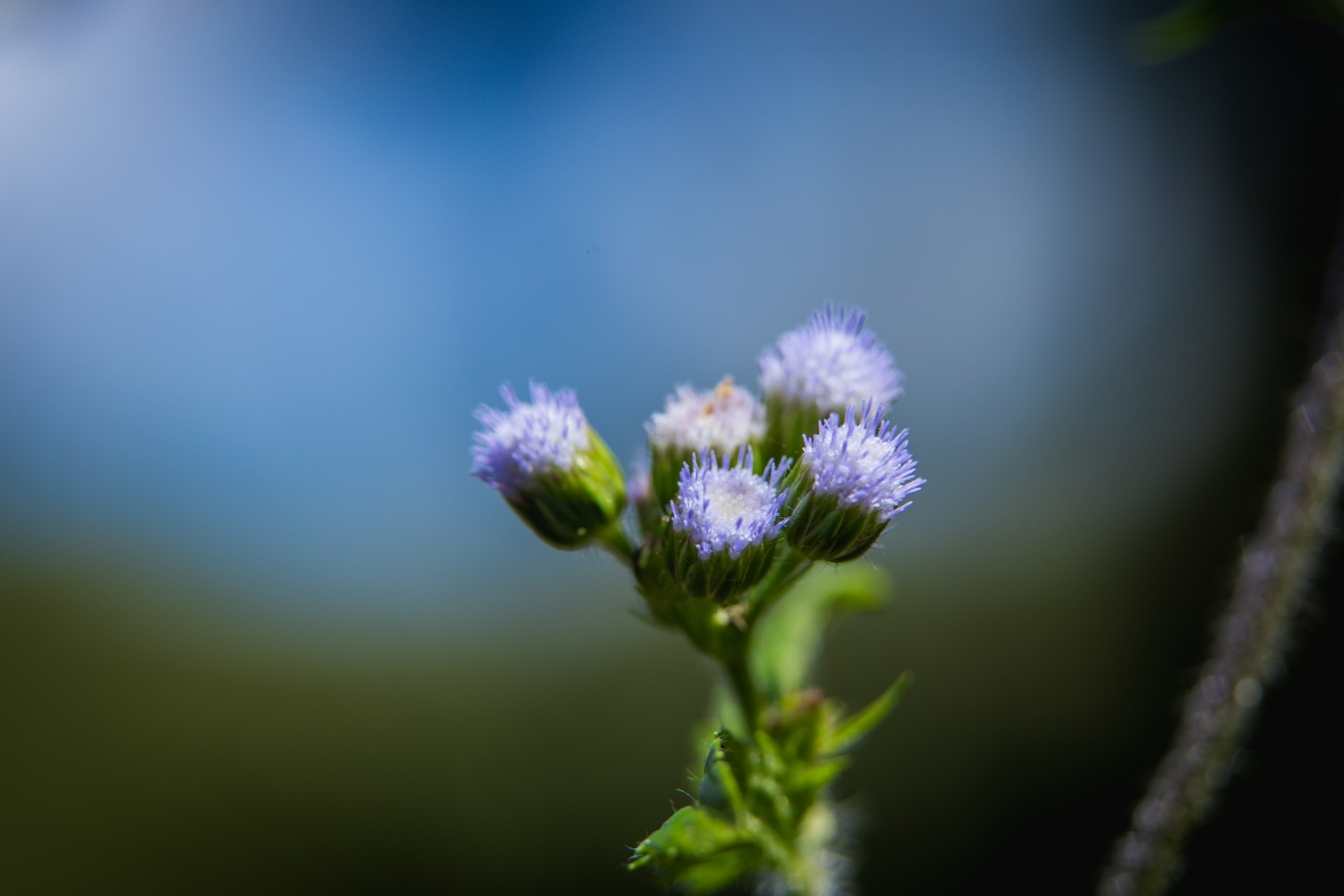 Photo by rrodriguesim