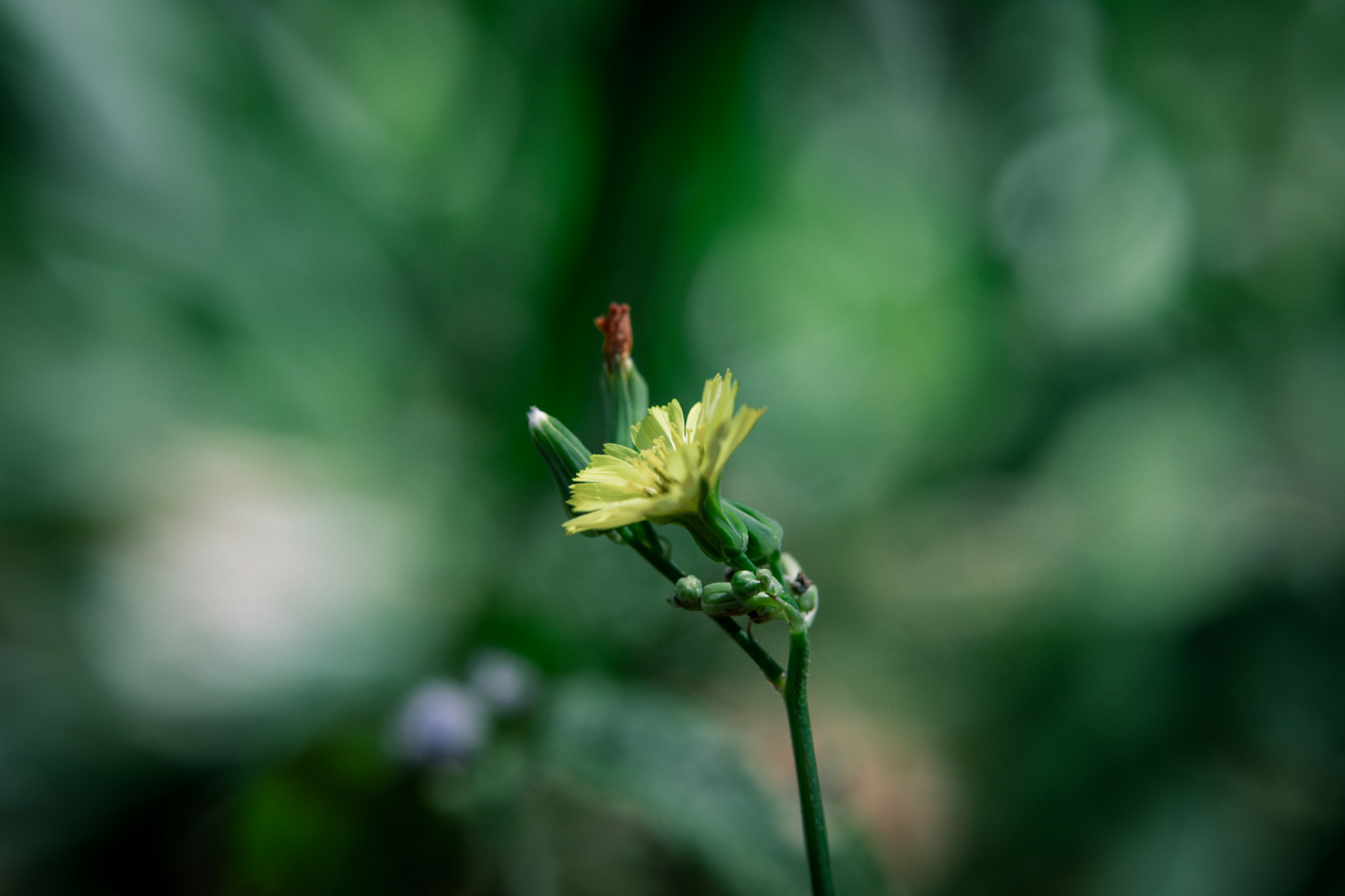 Photo by rrodriguesim