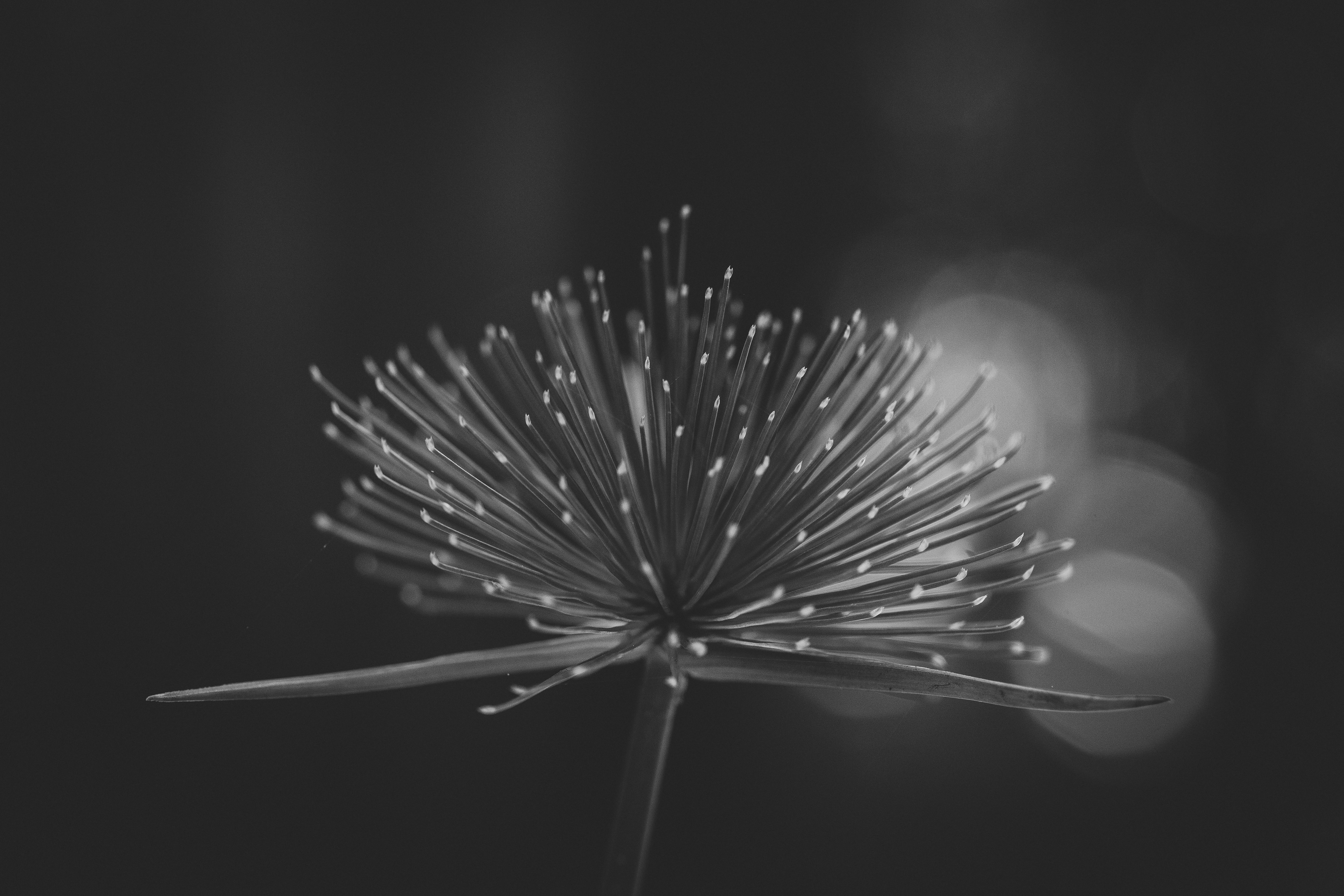 Photo by rrodriguesim