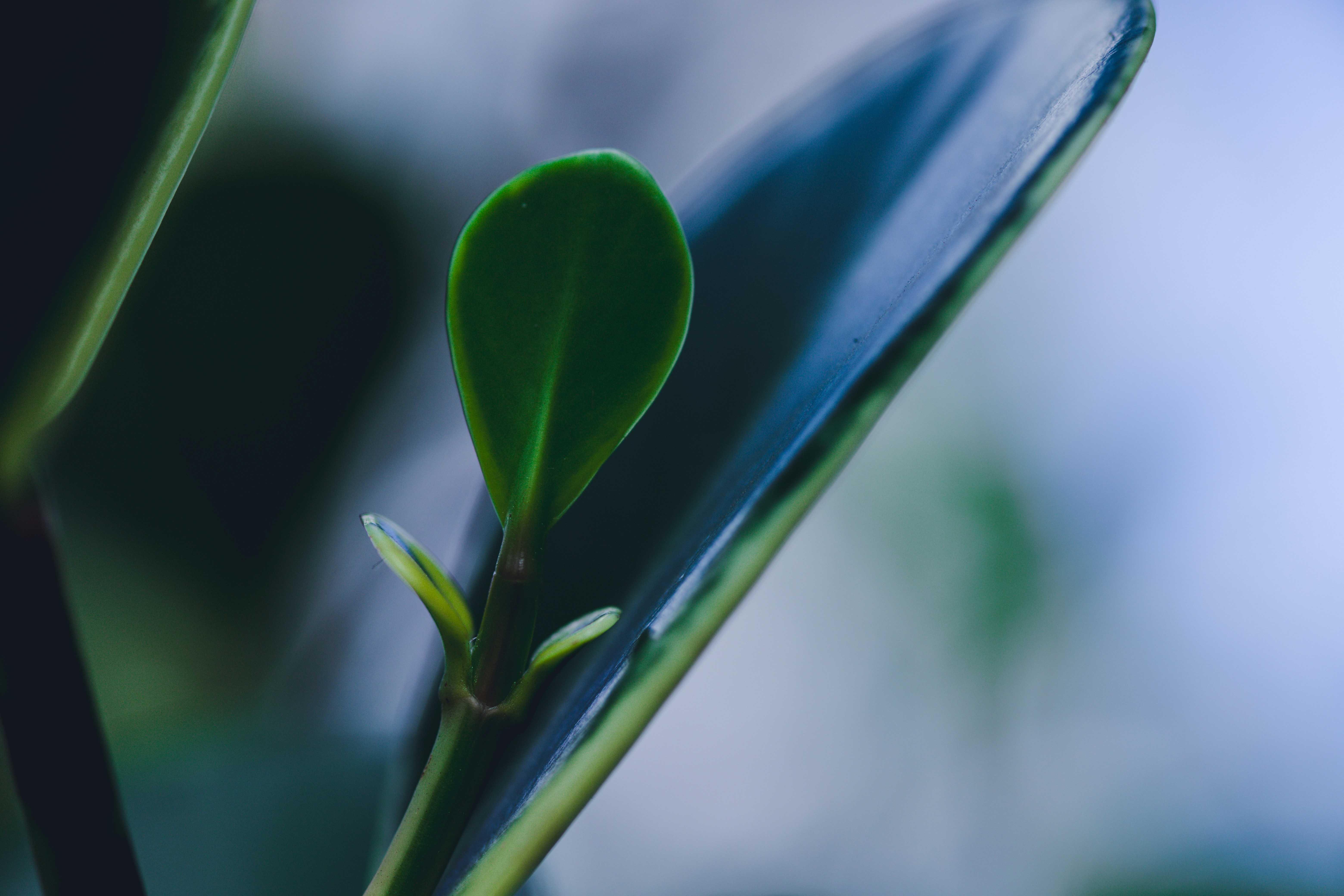 Photo by rrodriguesim