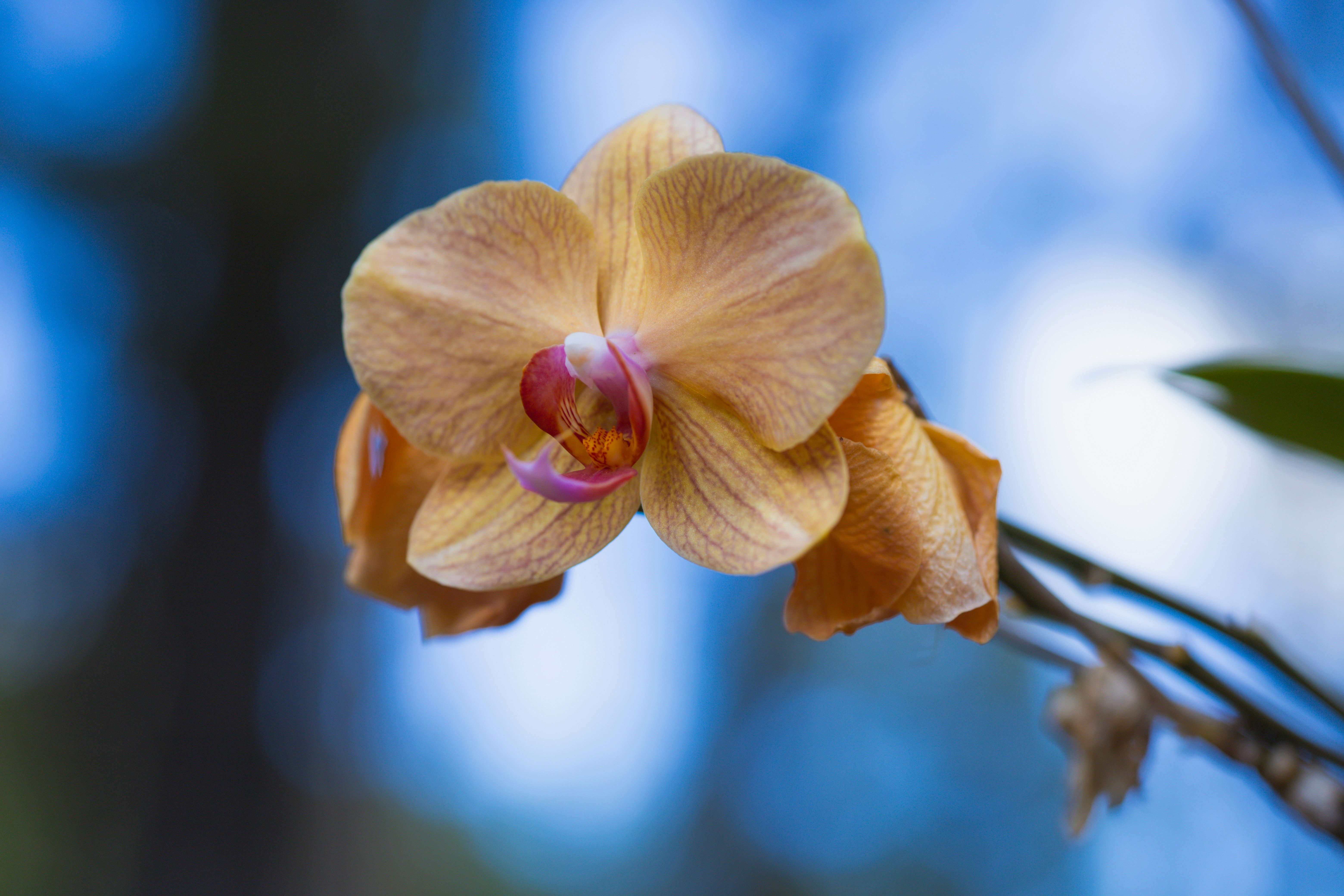 Photo by rrodriguesim