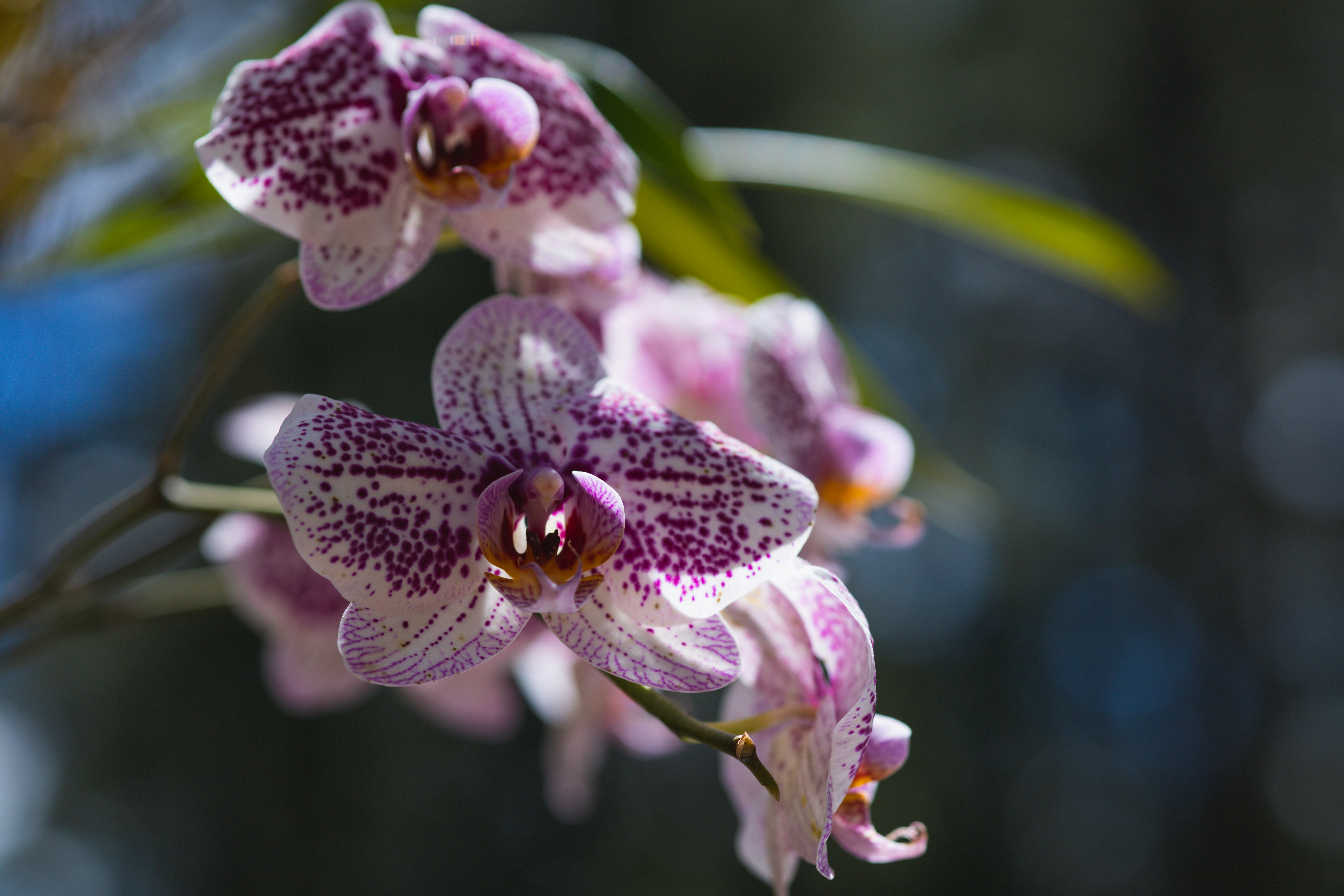 Photo by rrodriguesim